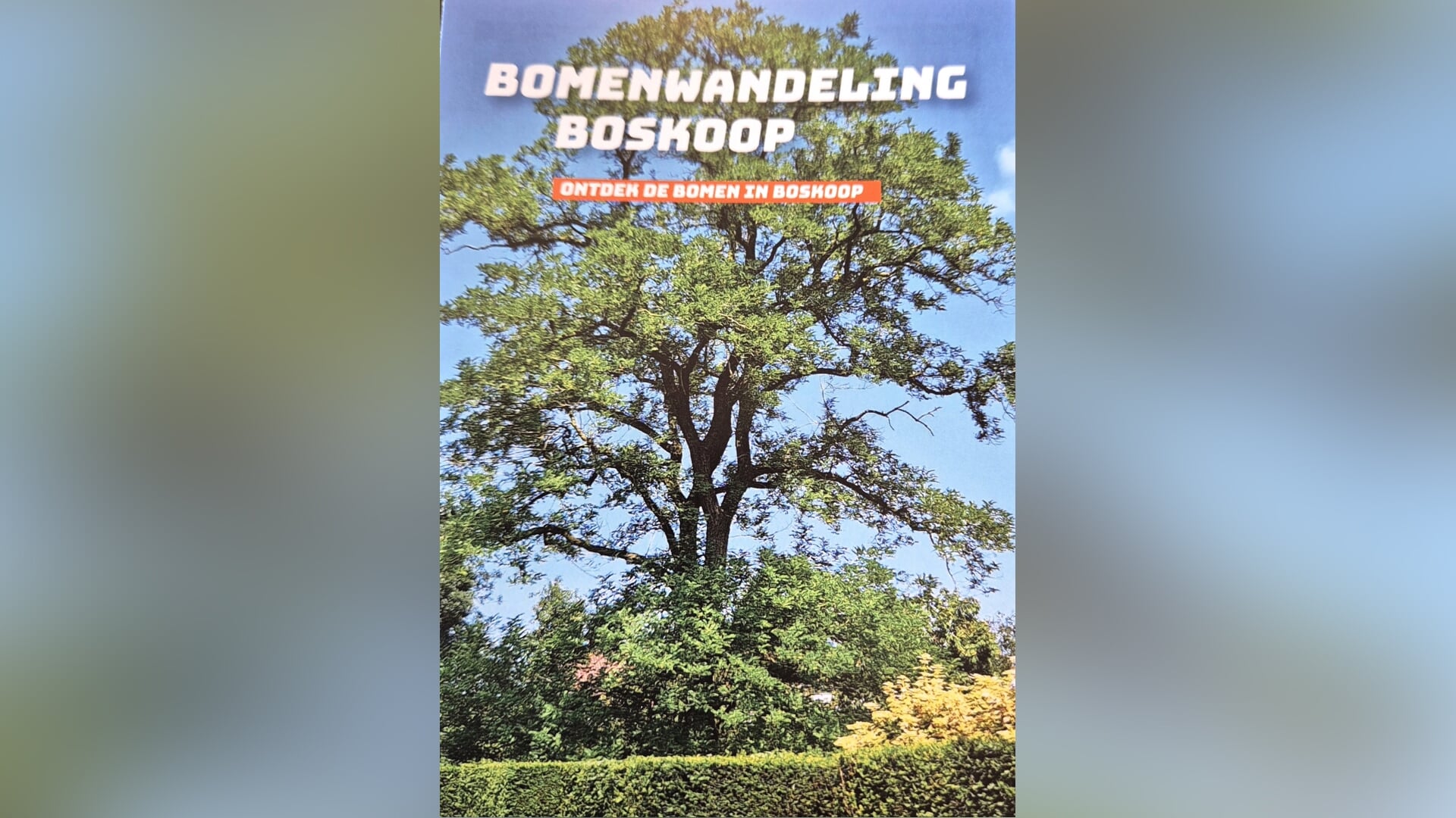 Nieuwe bomenroute in Boskoop