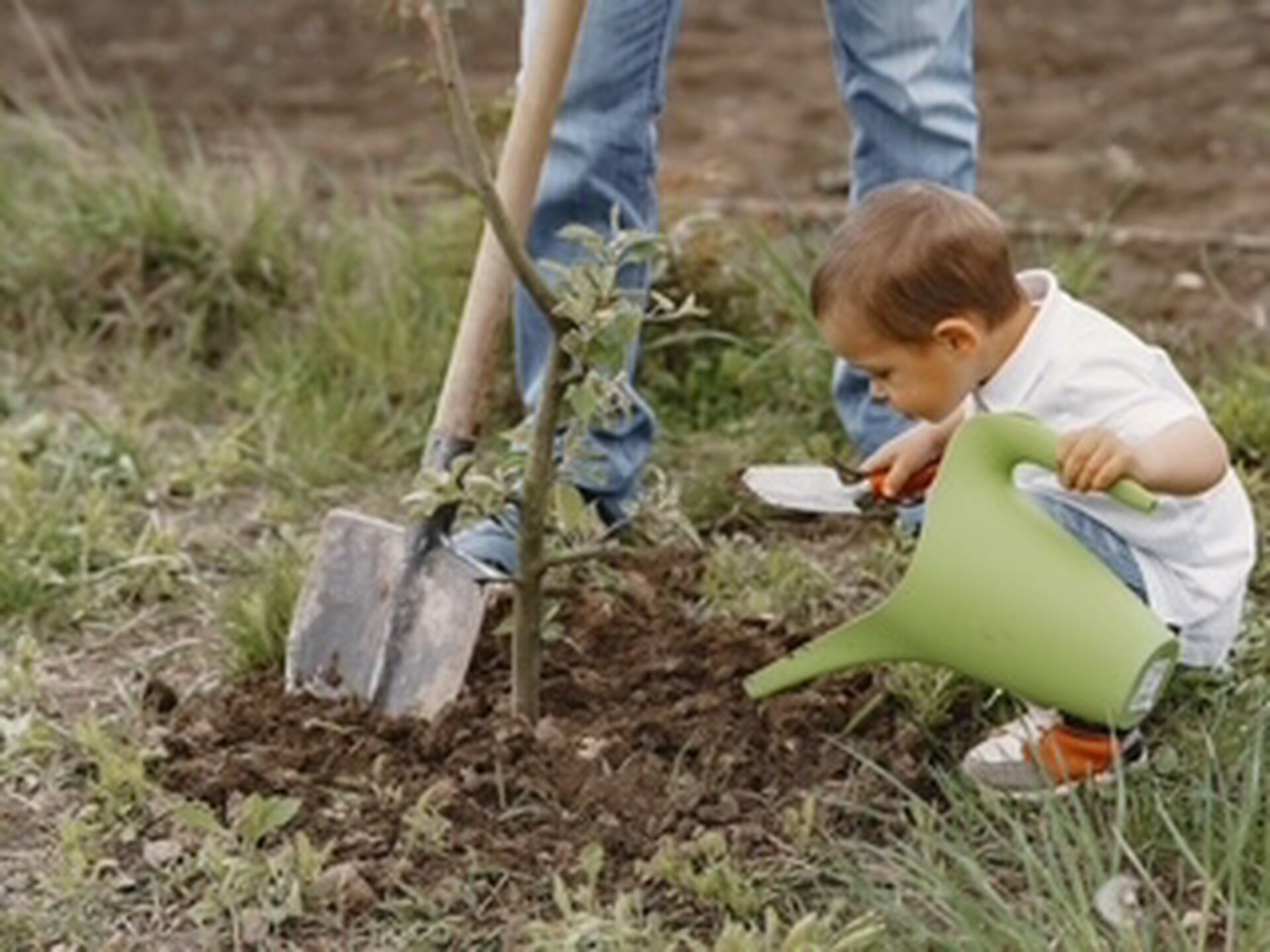 Bomenbal Natuurlijk Noordenveld 2026: Een groen feest voor iedereen