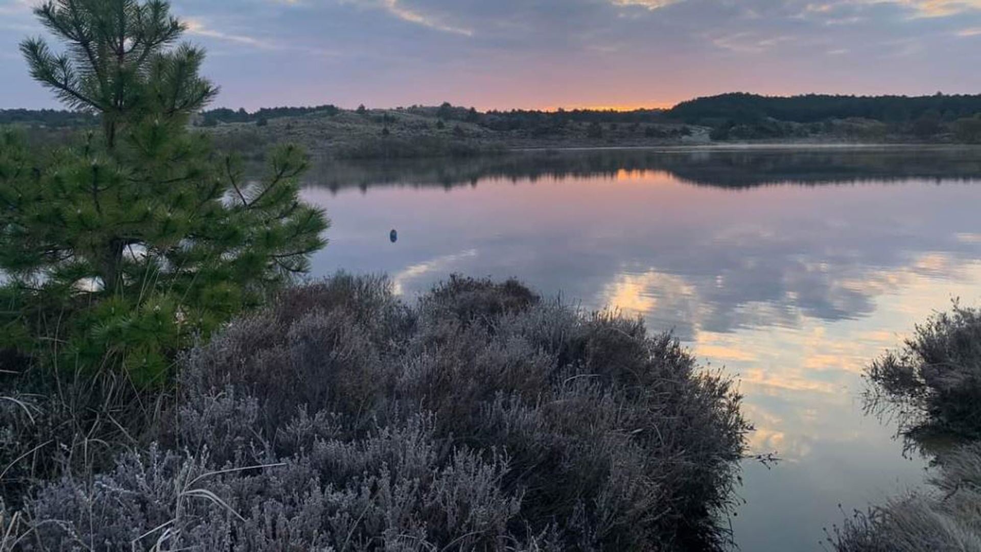 Stiltewandeling bij zonsopkomst