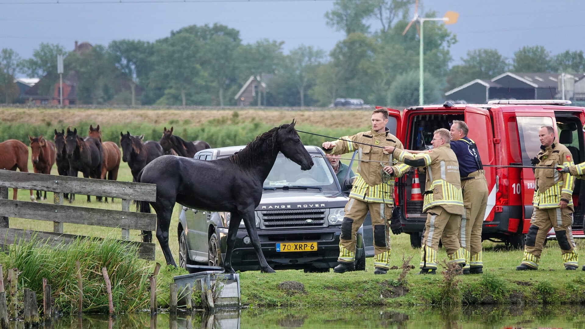 Brandweer redt paard uit water langs Oosteinde in Berkhout