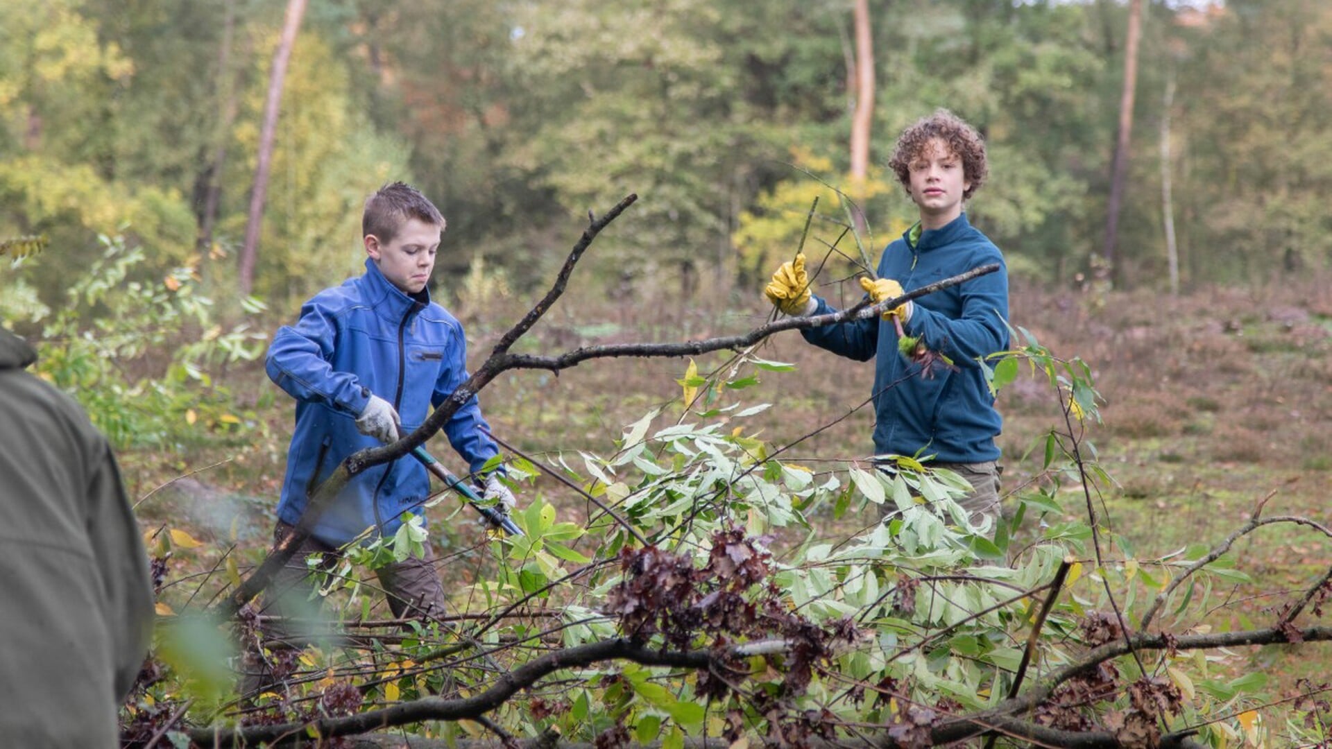 Natuurwerkdag: samen zorgen voor meer ruimte voor platen en struiken