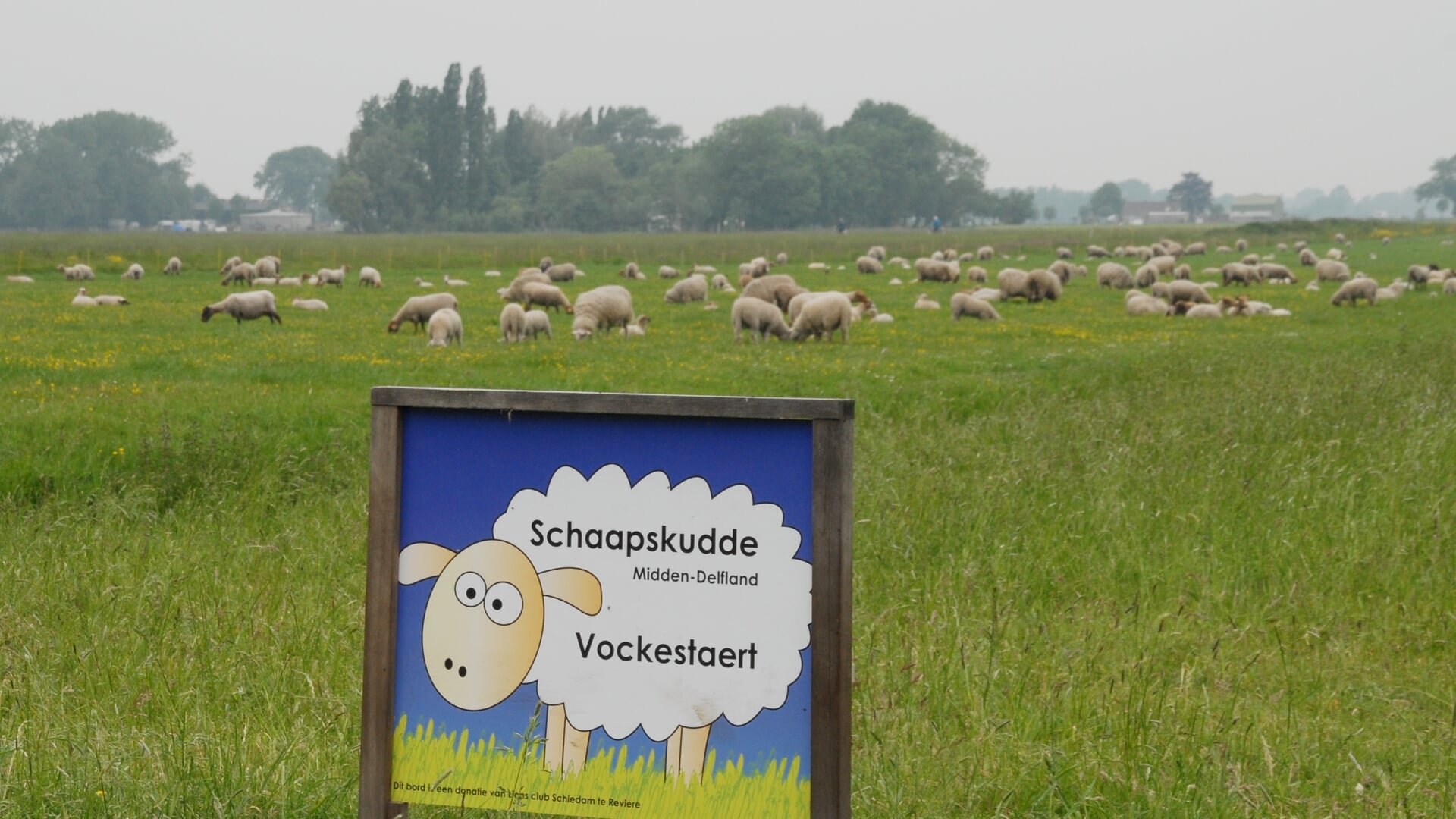 Boerenoogstfeest bij de Adrianushoeve