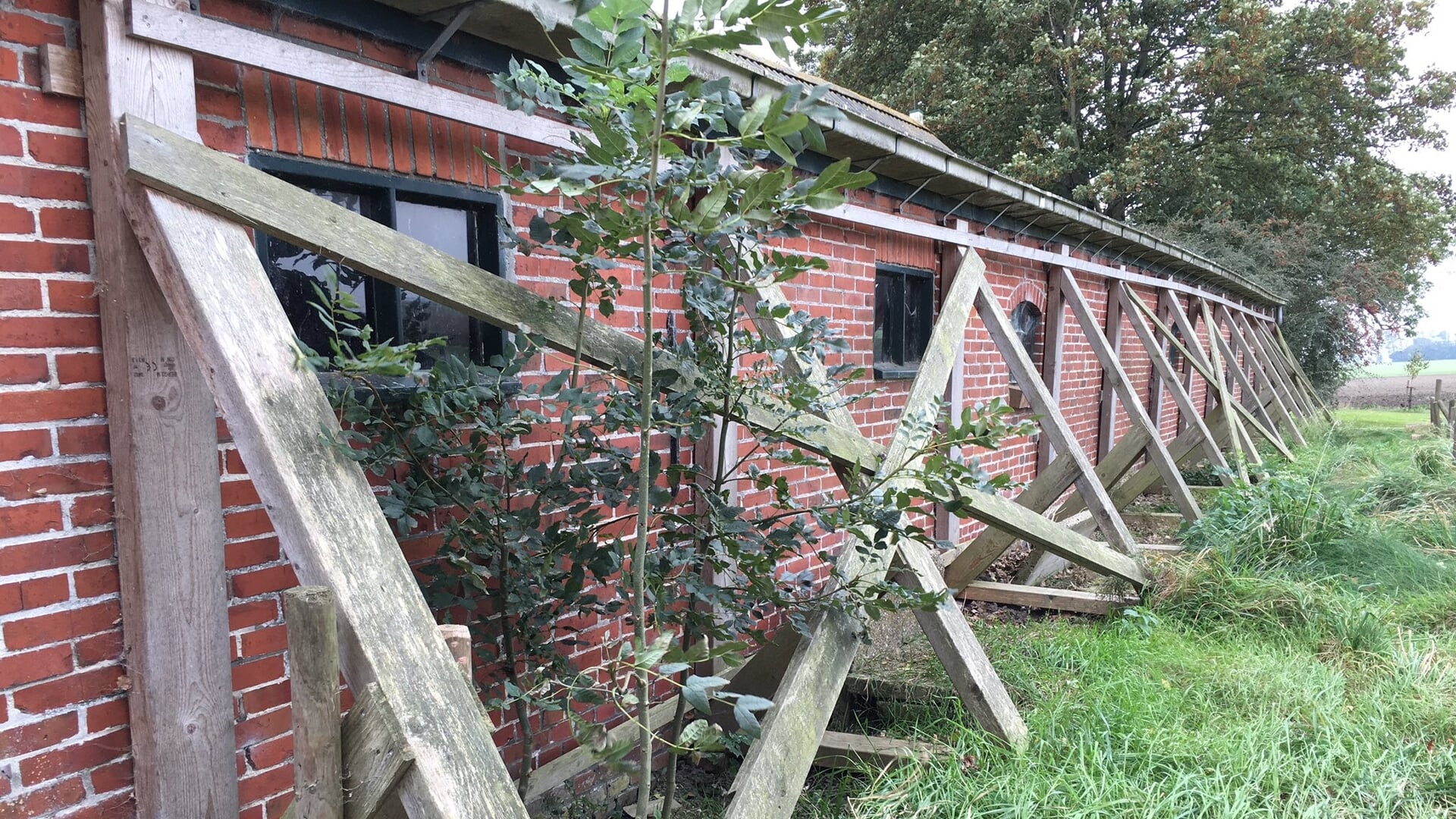 KNMI: Minder bevingen in 2024