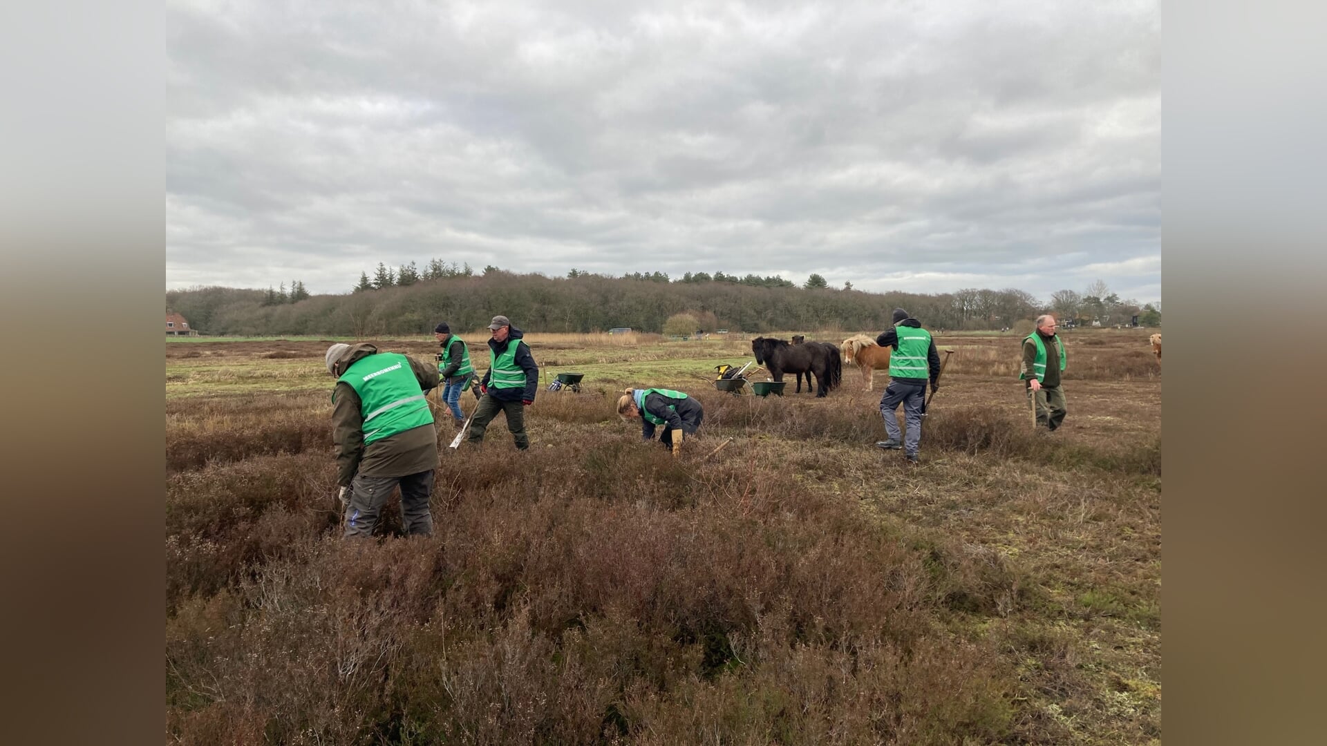 Oogsten in natuurgebieden