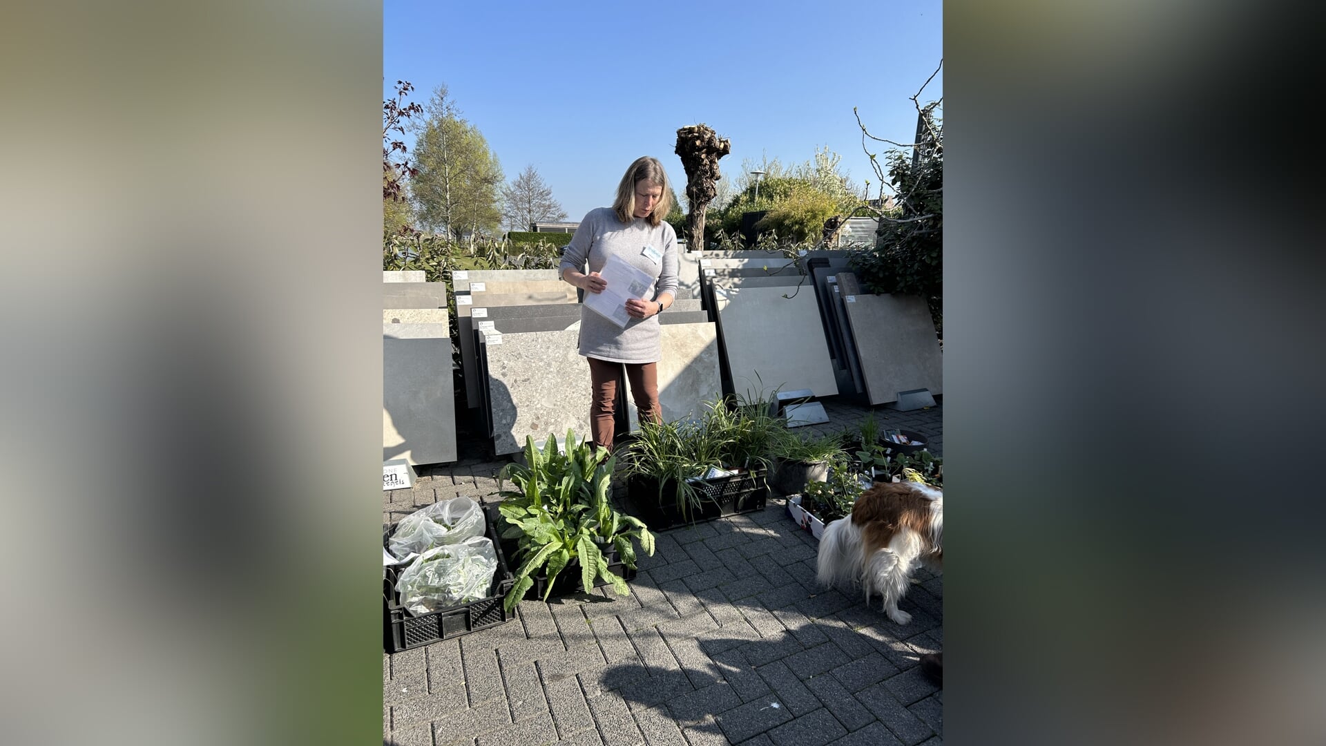 Plantenruilbeurs in Waddinxveen: stekjes, zaden en groene inspiratie