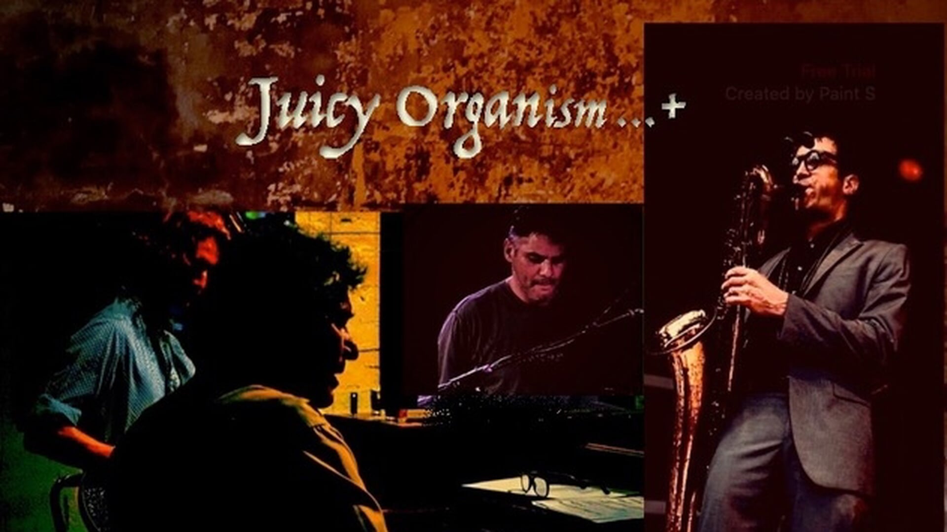 Jazzcollectief Juicy Organism+ in Museum/galerie Hoeve Overslot