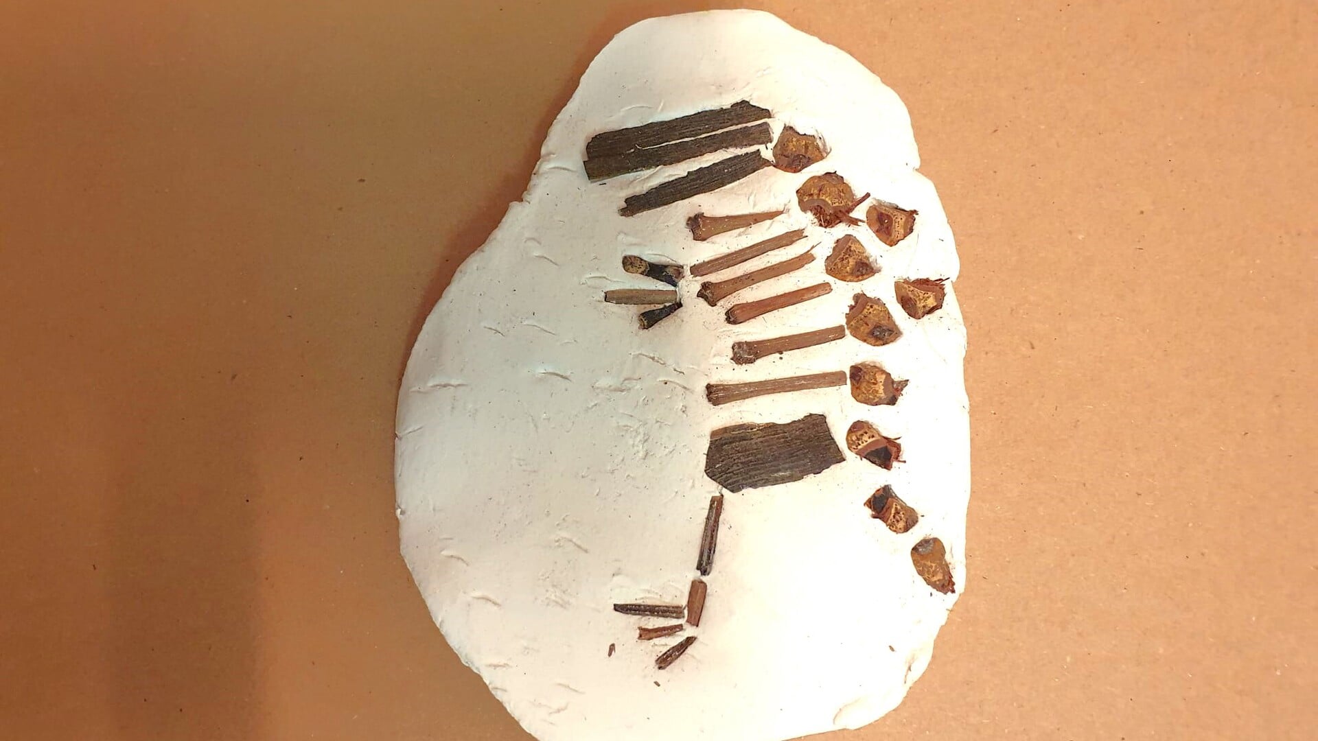 Knutselen met dino’s in Pieter Vermeulen Museum
