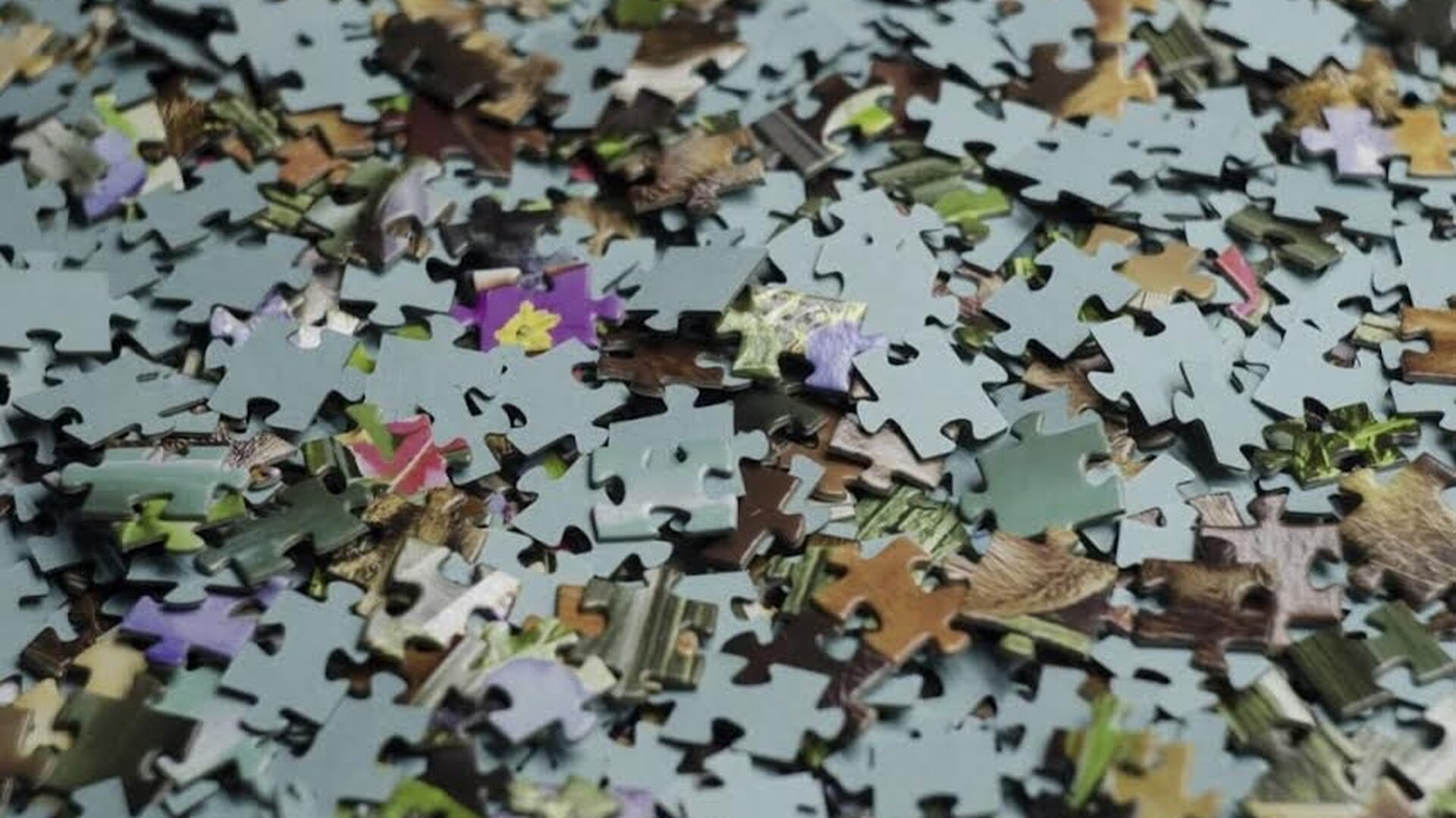 Ruil je legpuzzels bij de puzzelruilbeurs in Brasserie De Zon
