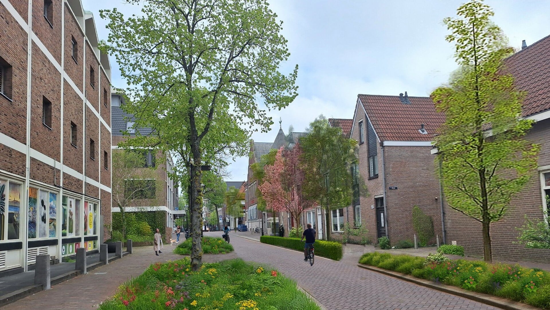 Deze straat in centrum Alkmaar wordt een stuk groener