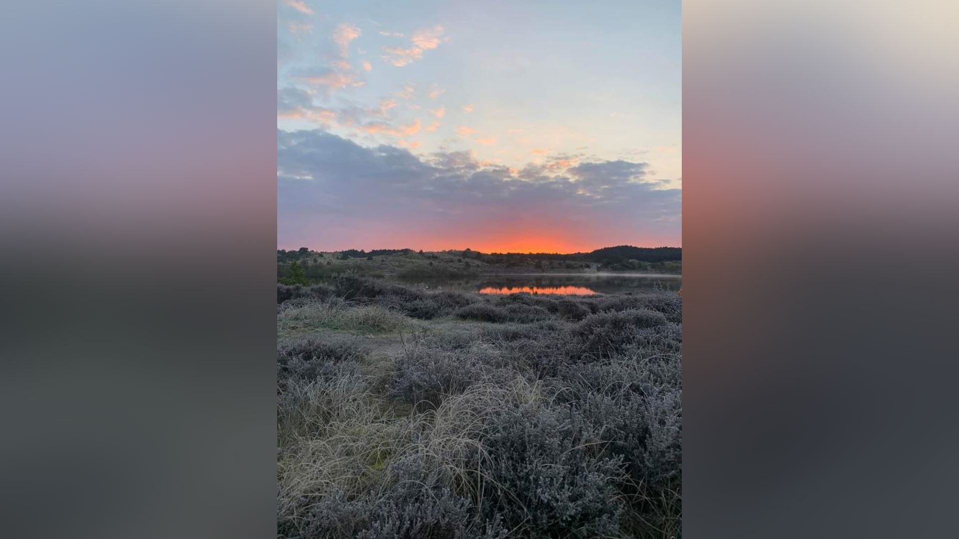 Stiltewandeling bij Zonsopkomst in Schoorlse Duinen