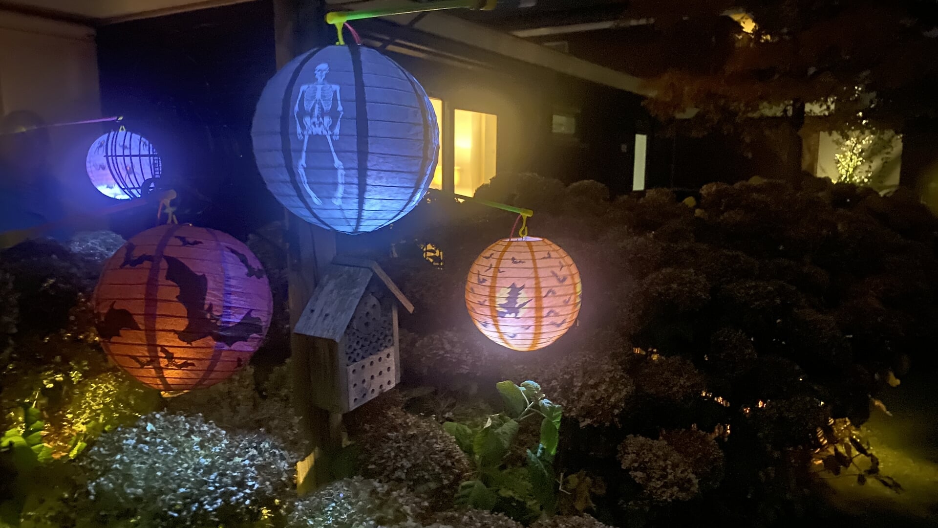 Magische tocht door het Irenebos bij nacht
