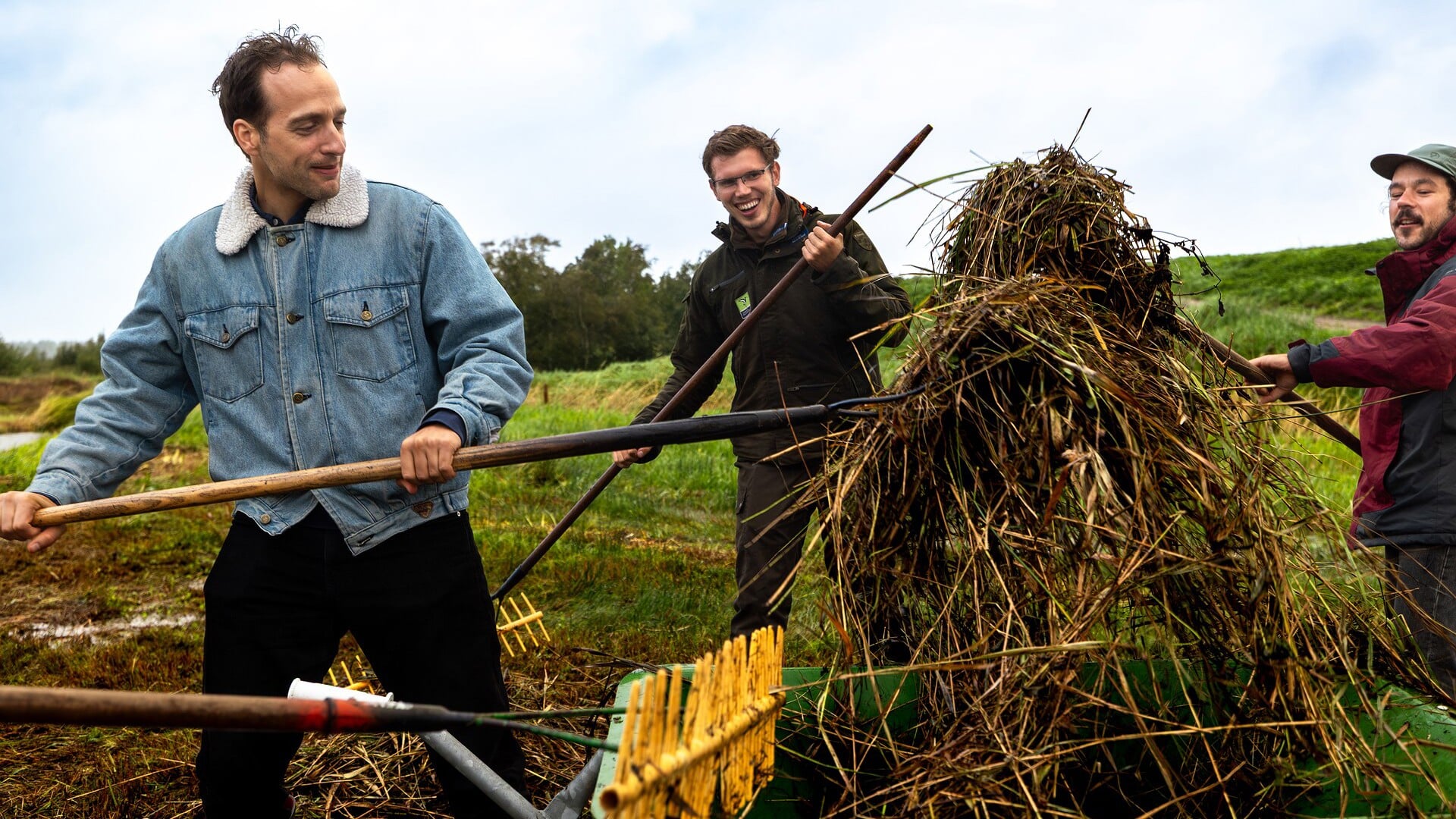 Jubileumeditie Nationale Natuurwerkdagen: help mee in het Padlandbos