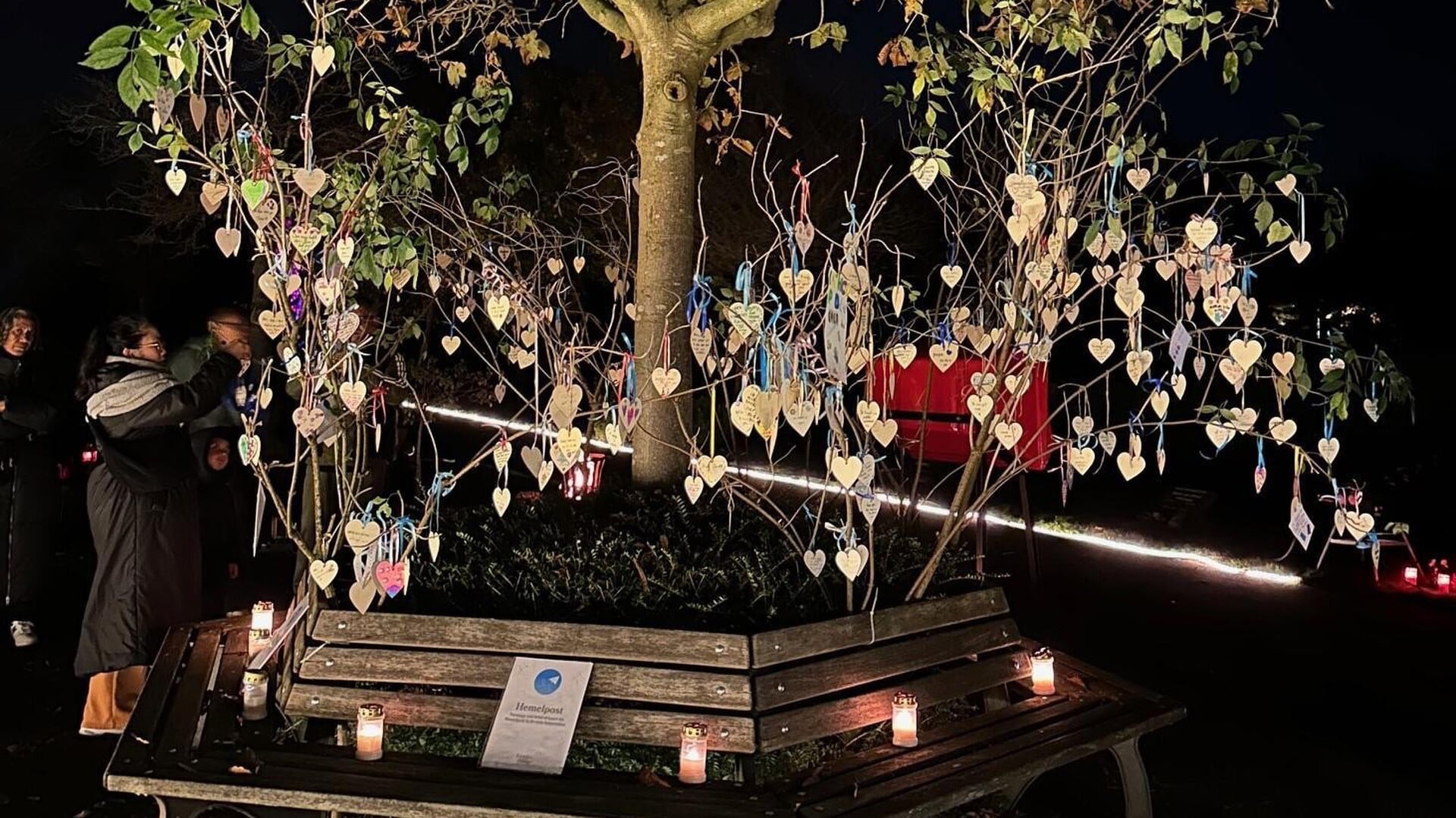 Licht, muziek en herinneringen tijdens Lichtjes in het Donker in Alphen