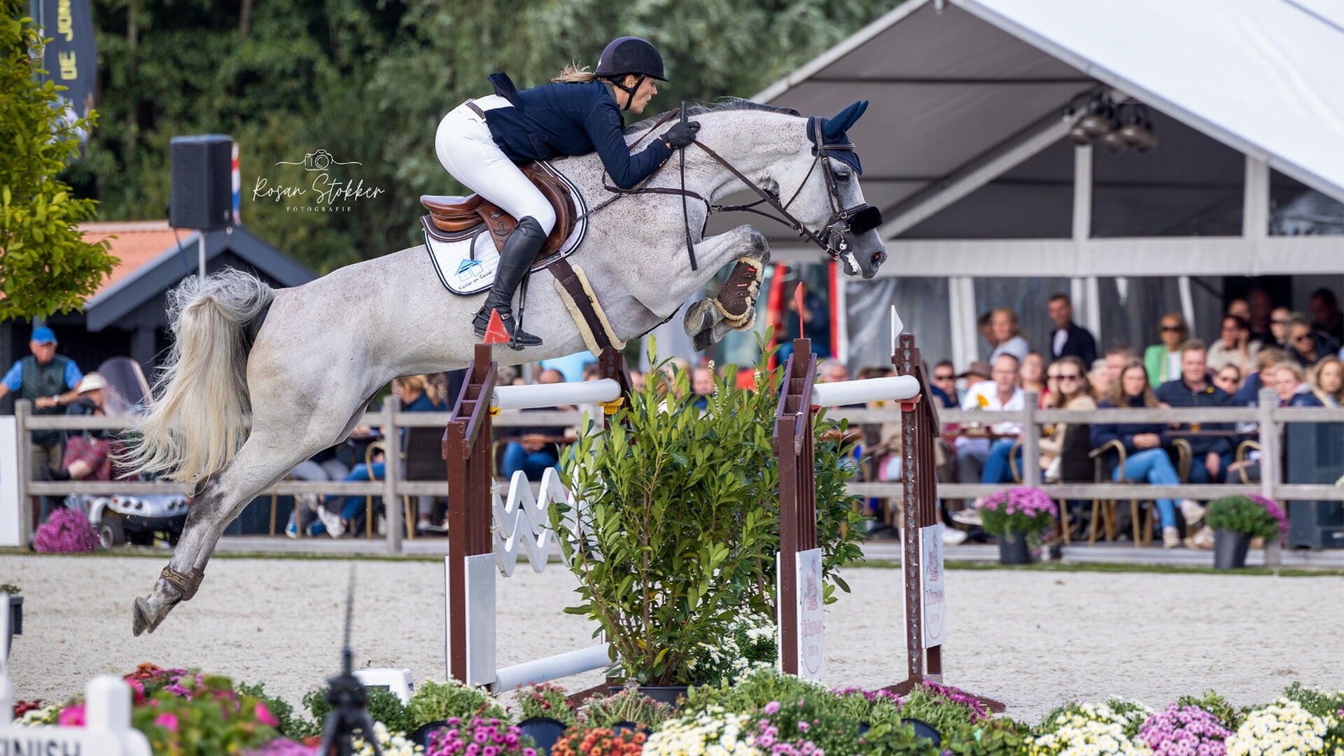 Jumping Tolbert gaat los: vijf dagen paardensport, topcompetities en Tuigpaarden