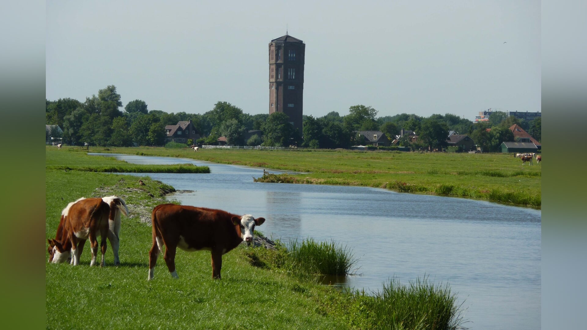 Van water naar wonen: 100 jaar watertoren in Kwadijk