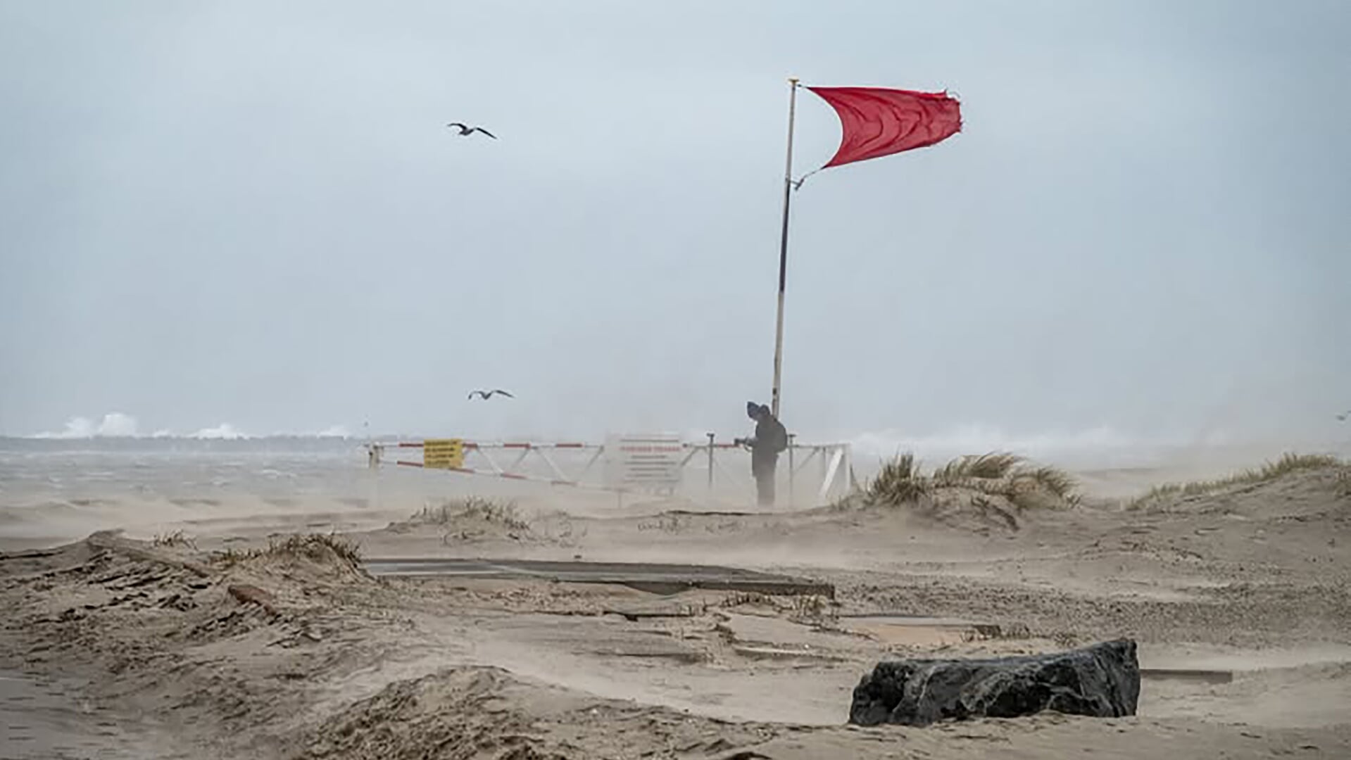 Vanaf donderdagavond code oranje in Heemskerk door storm Benjamin