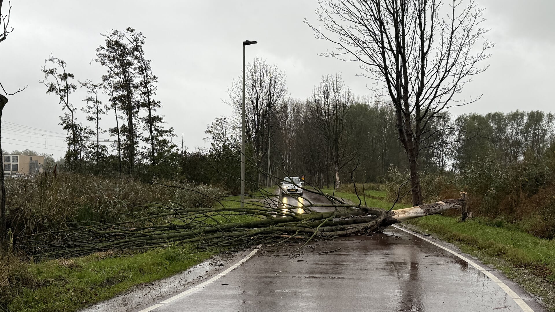Boom valt op Van Boendaleweg door storm Benjamin