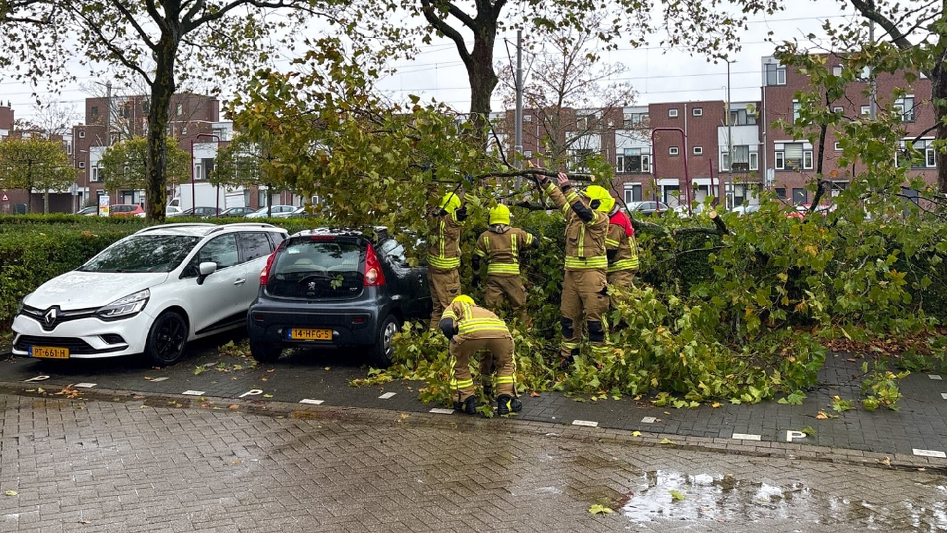 Afgebroken tak door storm Benjamin beschadigt auto op de Boeier in Schiedam