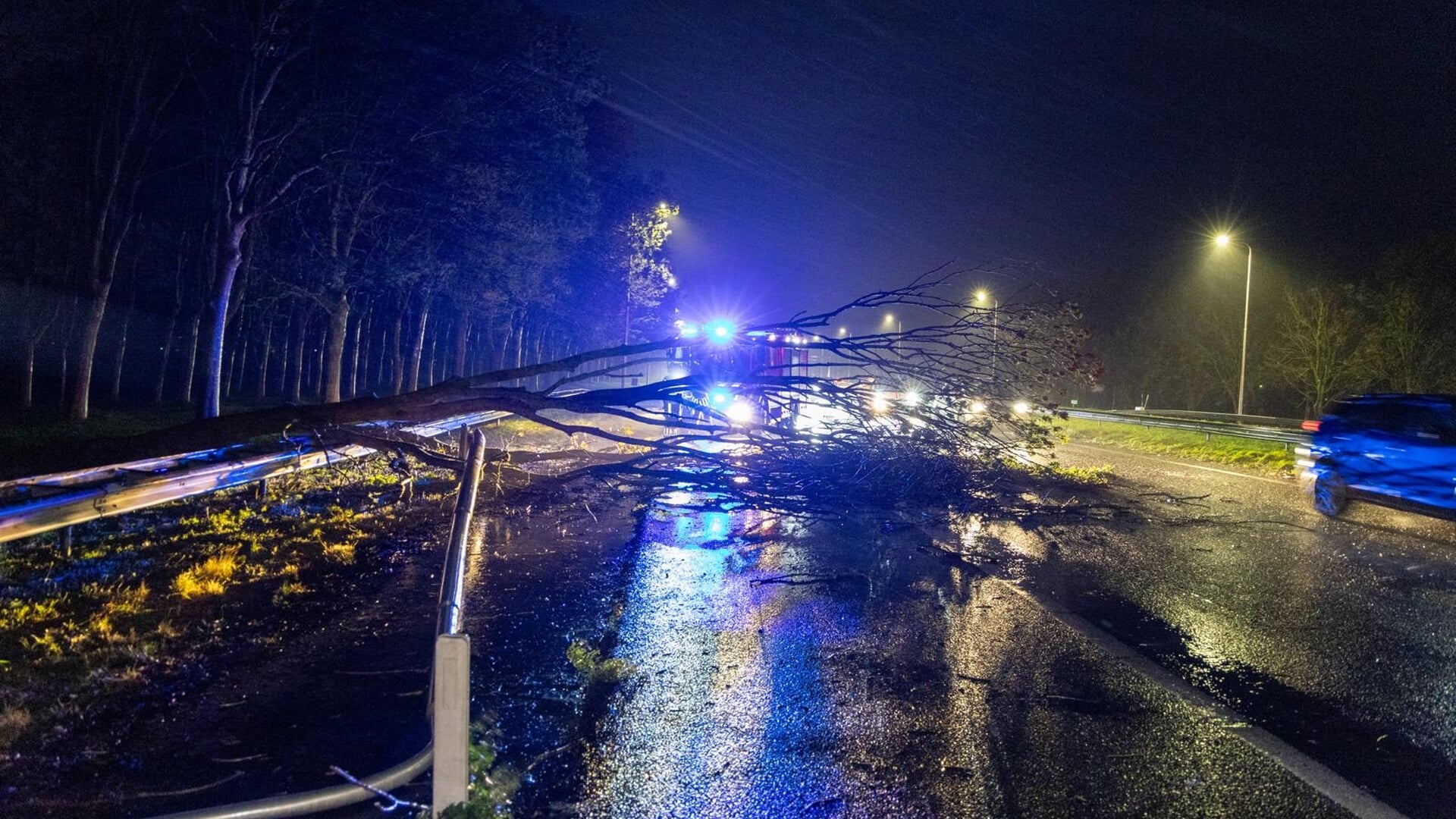 Bomen omgevallen langs A7 bij Zuidoostbeemster door storm Benjamin
