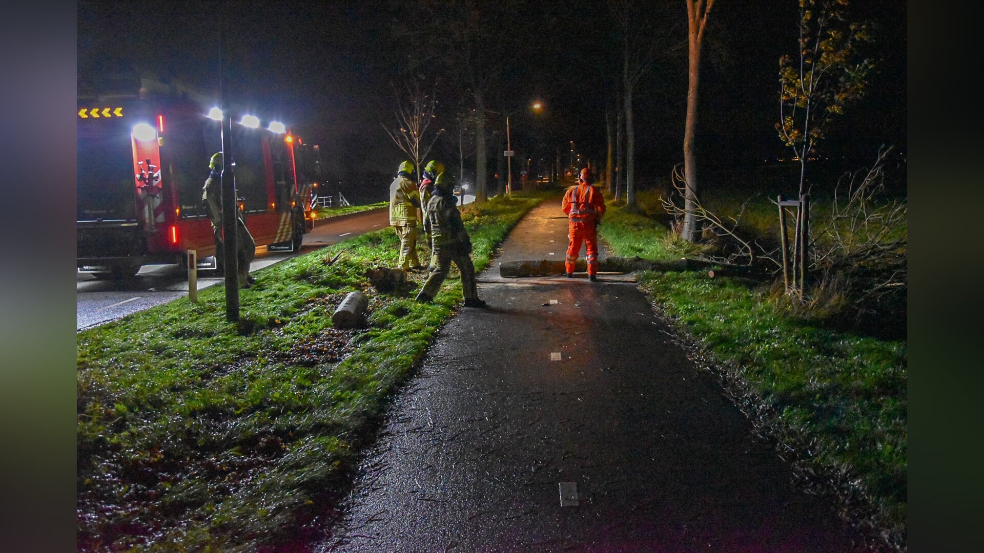 Boom valt op fietspad aan de Kaag in Spanbroek