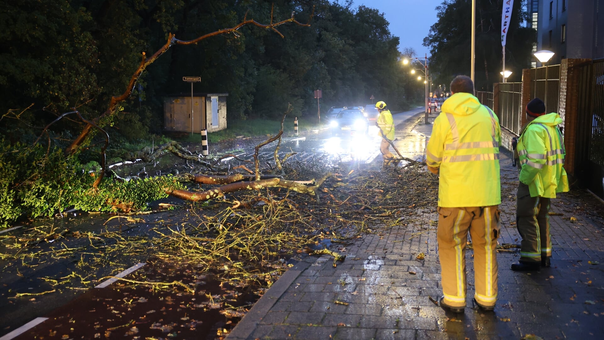 Omgevallen boom blokkeert Badhuisweg Scheveningen door storm Benjamin