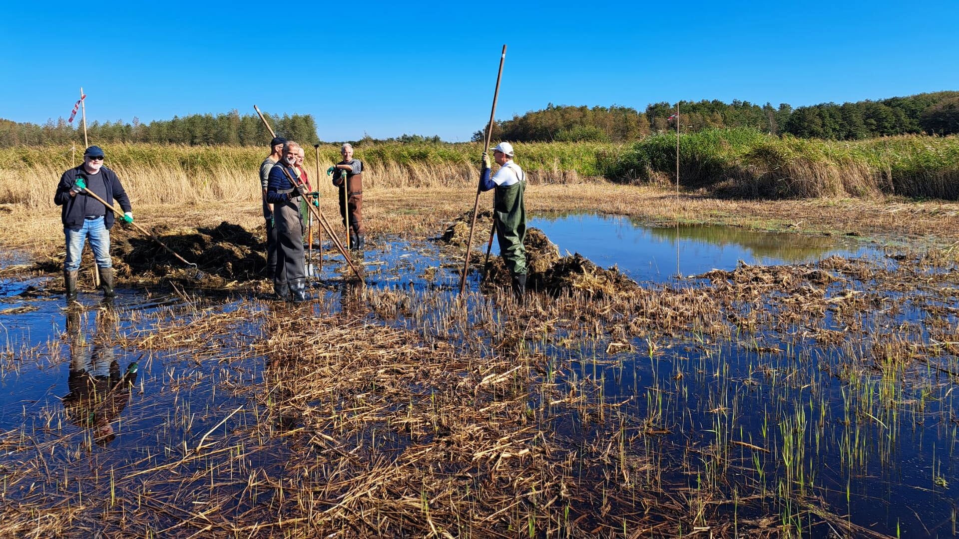 Landelijke Natuurwerkdag in Purmerbos