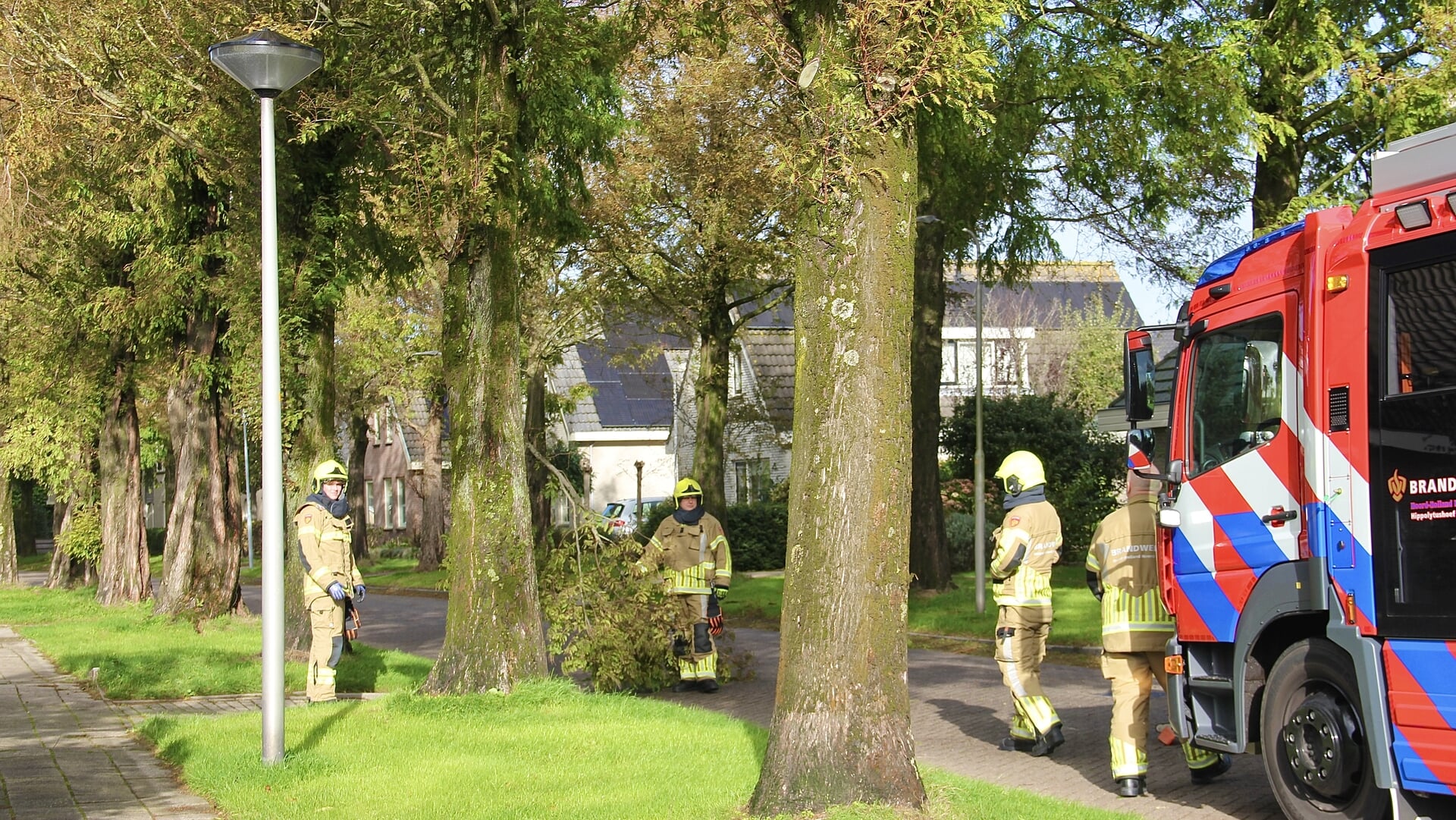 Afgebroken tak zorgt voor gevaarlijke situatie aan De Weel in Hippolytushoef