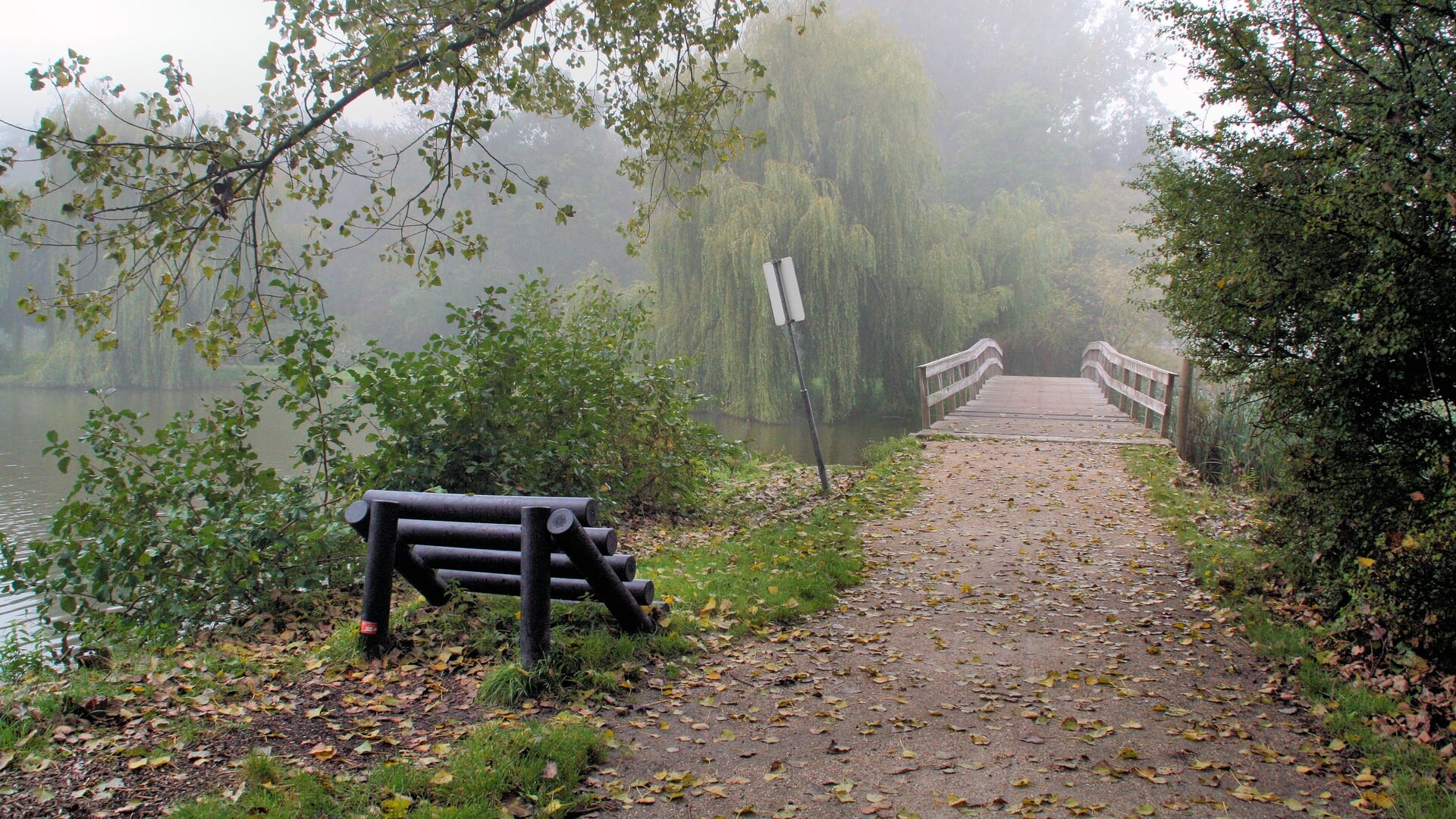 Trimlopen door ecologisch Vijfhoekpark bij AV Zaanland