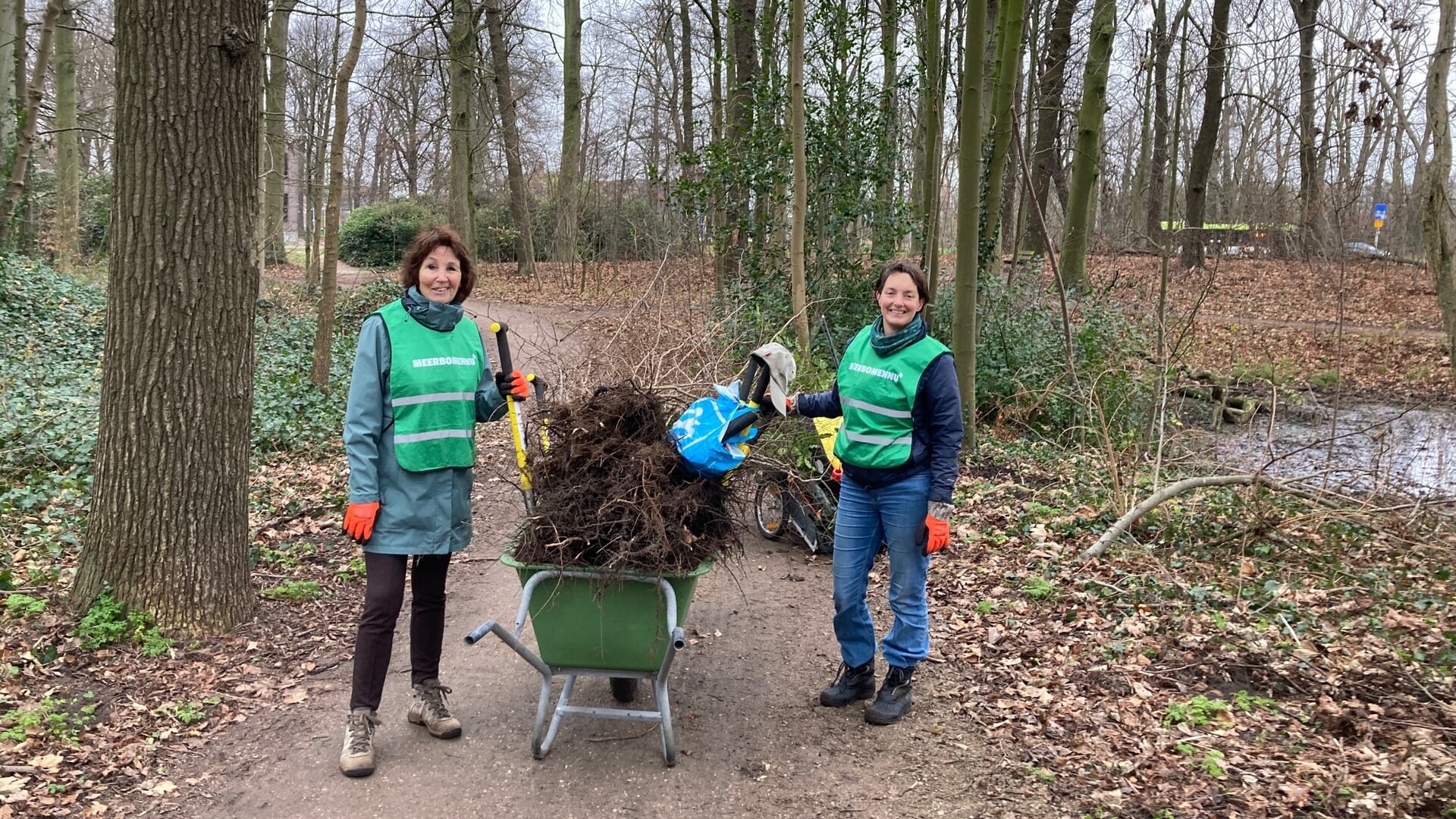 Meer Bomen Nu start met oogsten van zaailingen in Beverwijk