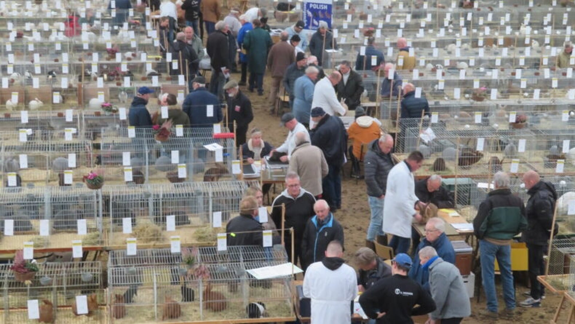 FW: PERSBERICHT - 29ste Wieringerlandshow