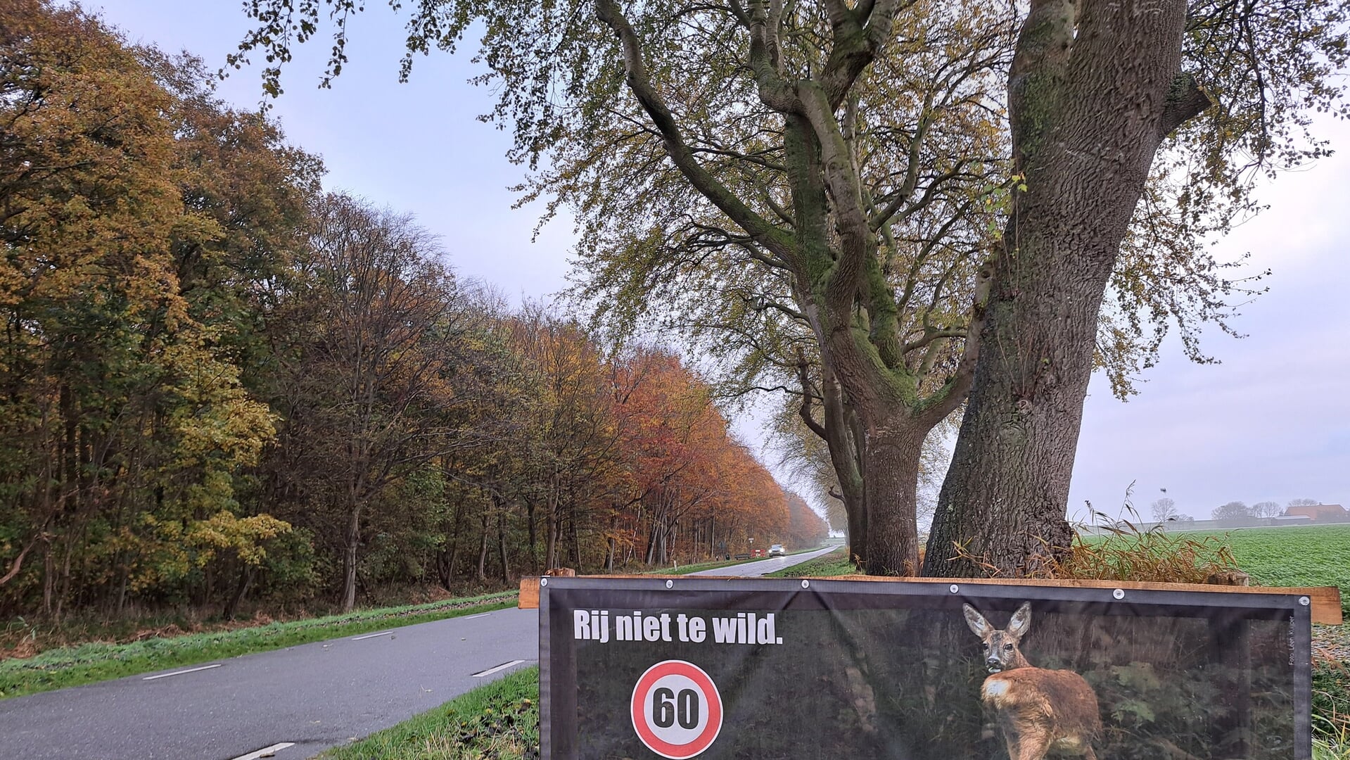 Campagne ‘Rij niet te wild’ van start rondom Robbenoord- en Dijkgatbos