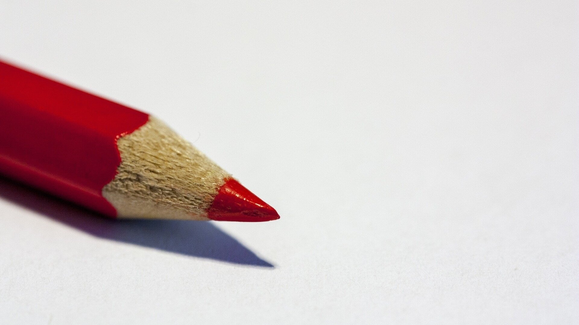 De stemmen zijn geteld: Dit is hoe de gemeenten Alphen aan den Rijn, Nieuwkoop en Kaag en Braassem h