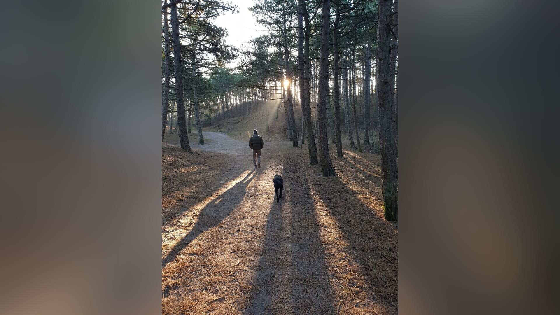 Column Kees de Bakker vertelt...: ‘Waarom lopen we hier eigenlijk?’