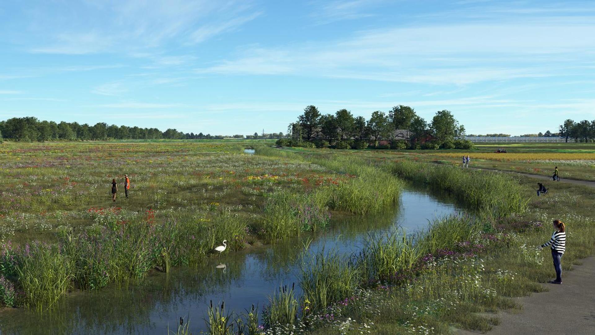 Natuurontwikkeling Bonnenpolder van start