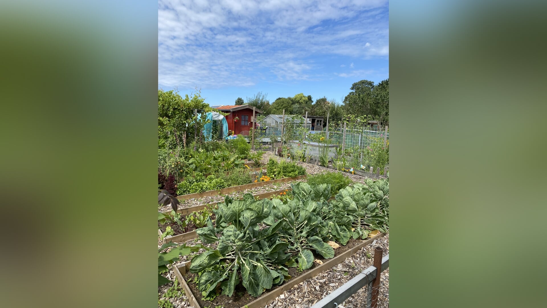 Moestuinen vrij in Lijnden