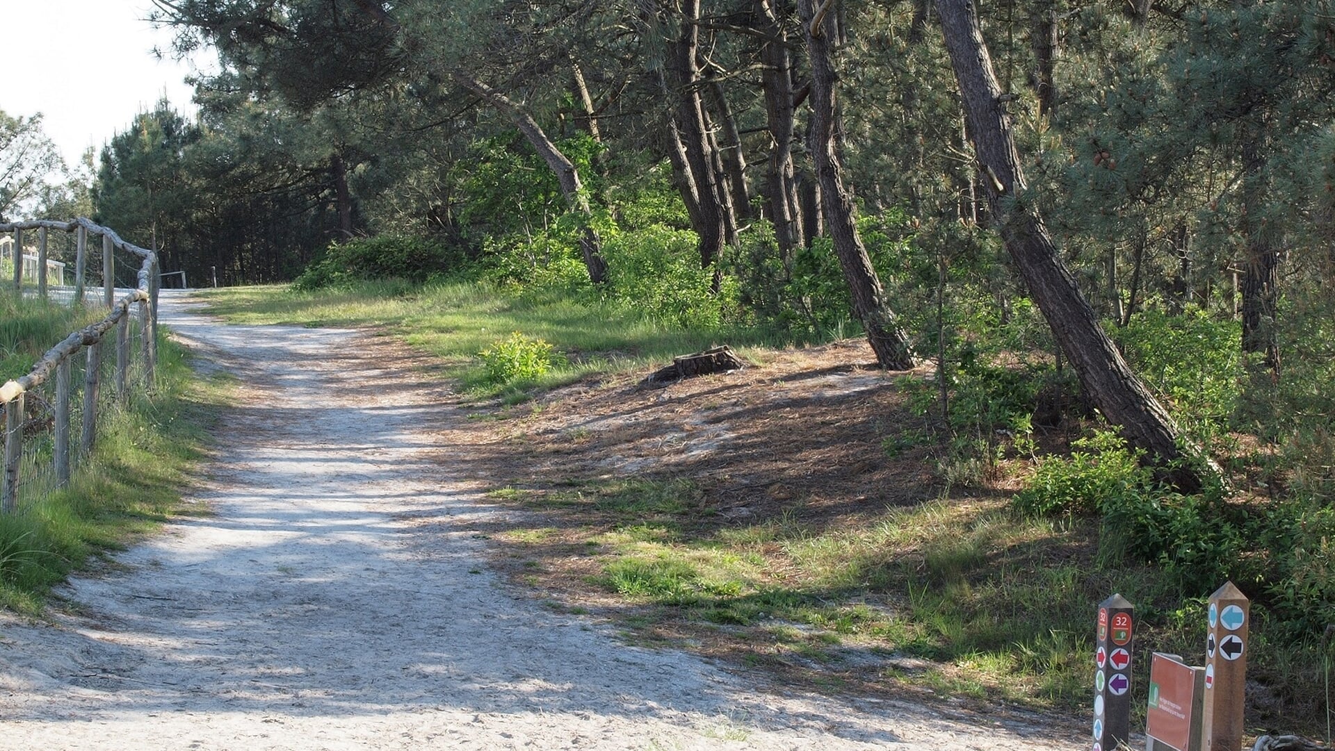 Beleef de Schoorlse Duinen in het donker, bij zonsopkomst of in een spannend avondspel