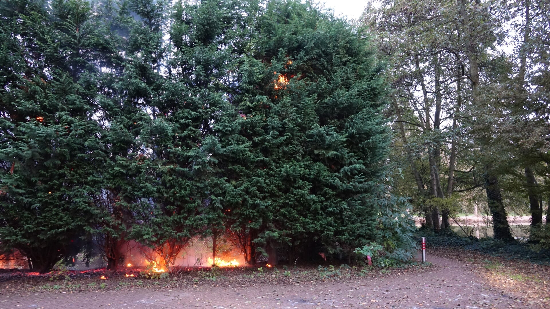 Coniferenhaag bij zwembad aan Kerkweg in Heemskerk in brand, brandstichting niet uitgesloten