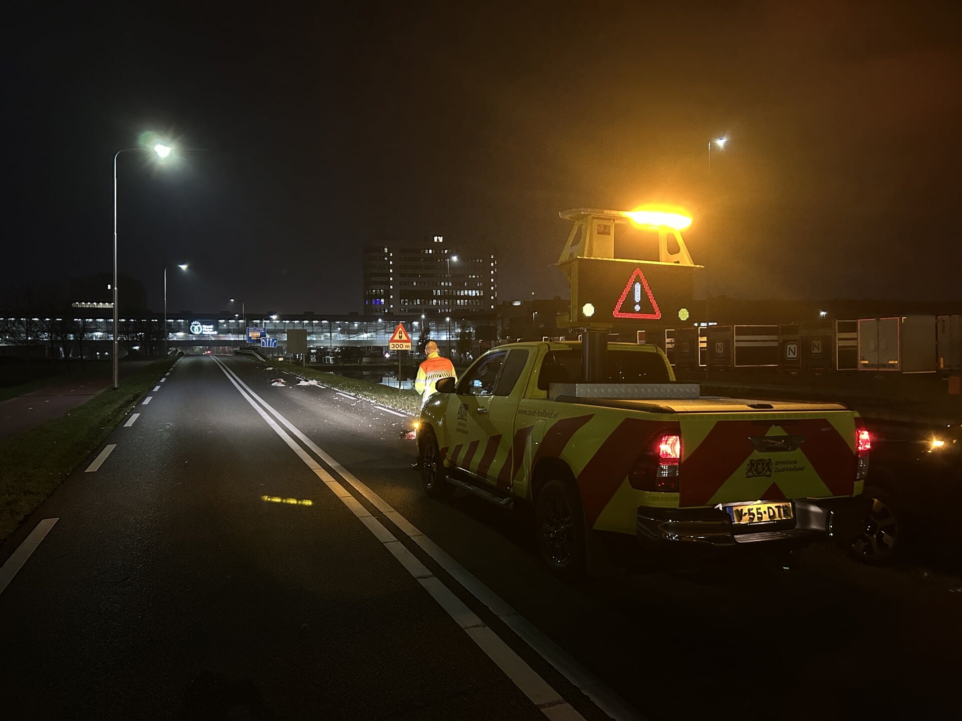 Zeven ganzen doodgereden op N466 Honselersdijk, veroorzaker doorgereden