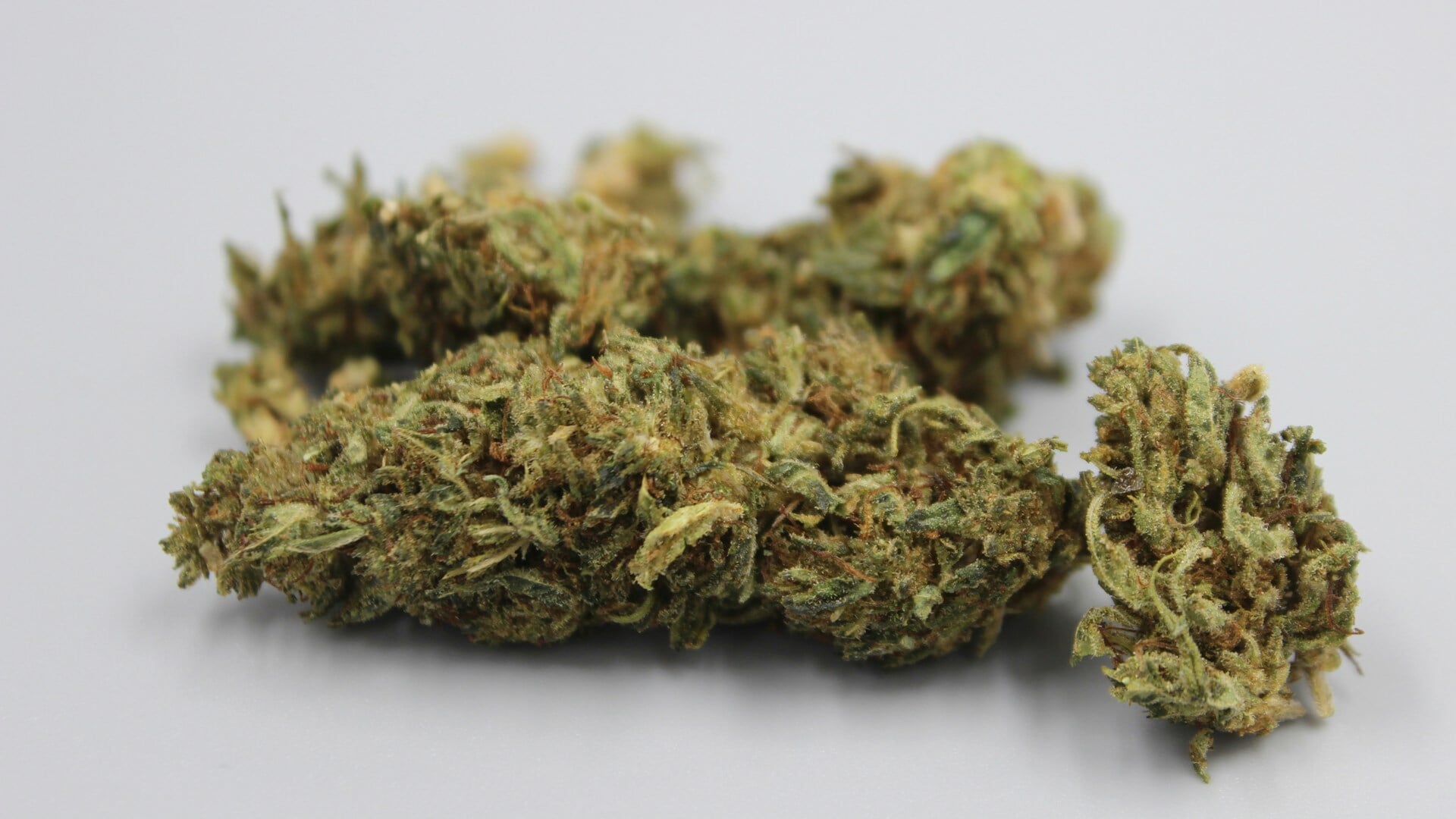 Bedrijfspand Polderweg in Purmerend voor 6 maanden gesloten na vondst van 690 kilo drugs