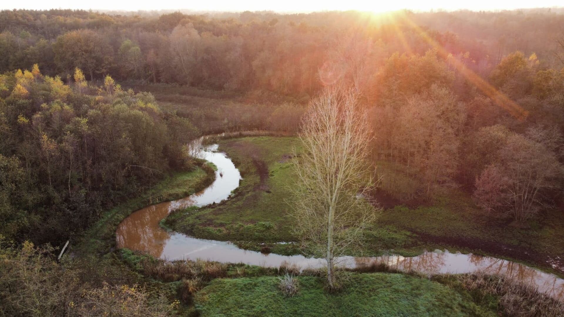 Natuurpunt Balen-Nete viert 30 jaar De Vennen met nieuw avonturenpad ...