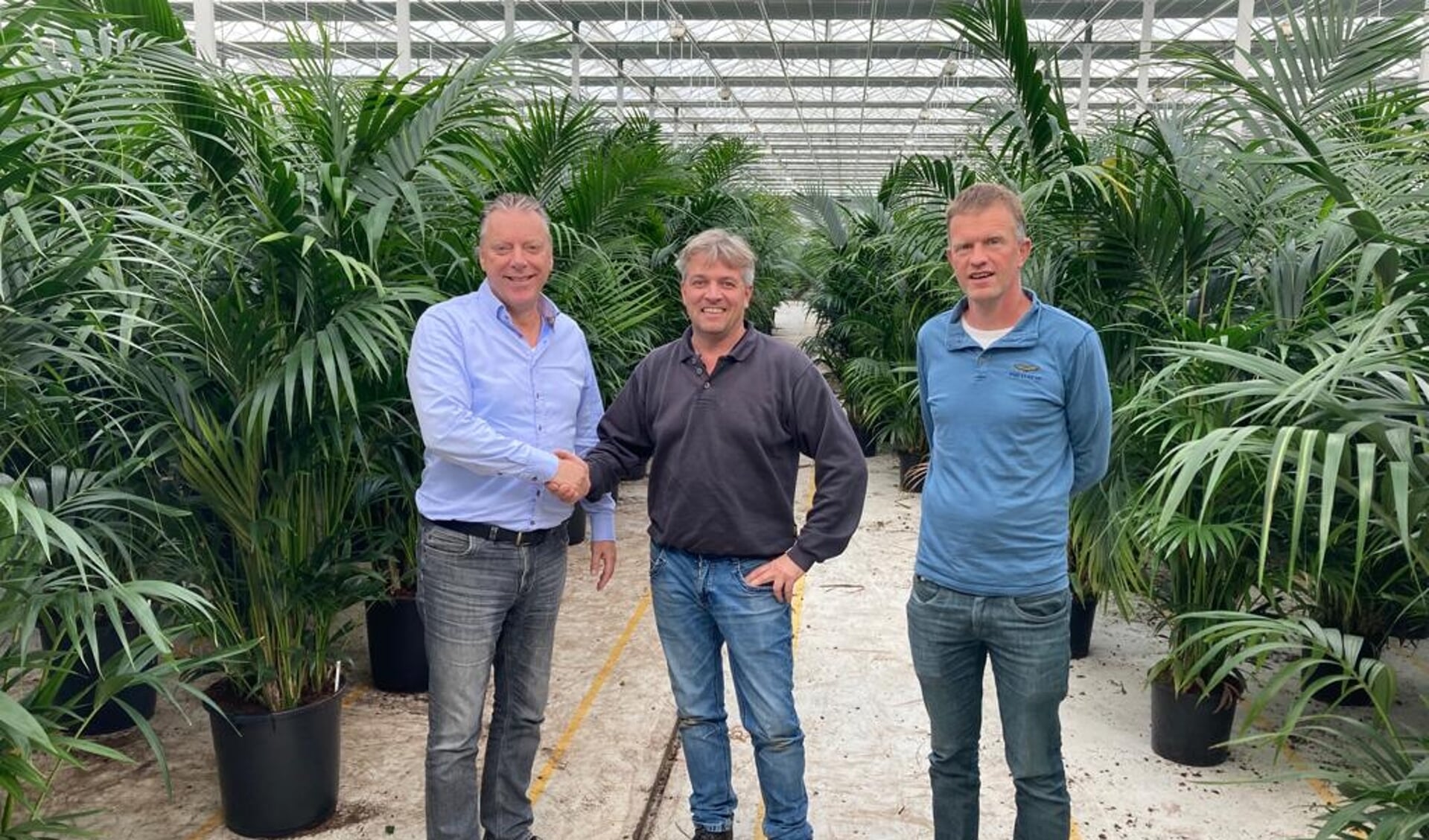 Decorum verwelkomt nieuw lid Hartog Palmen - Al het nieuws uit Bloemenkrant