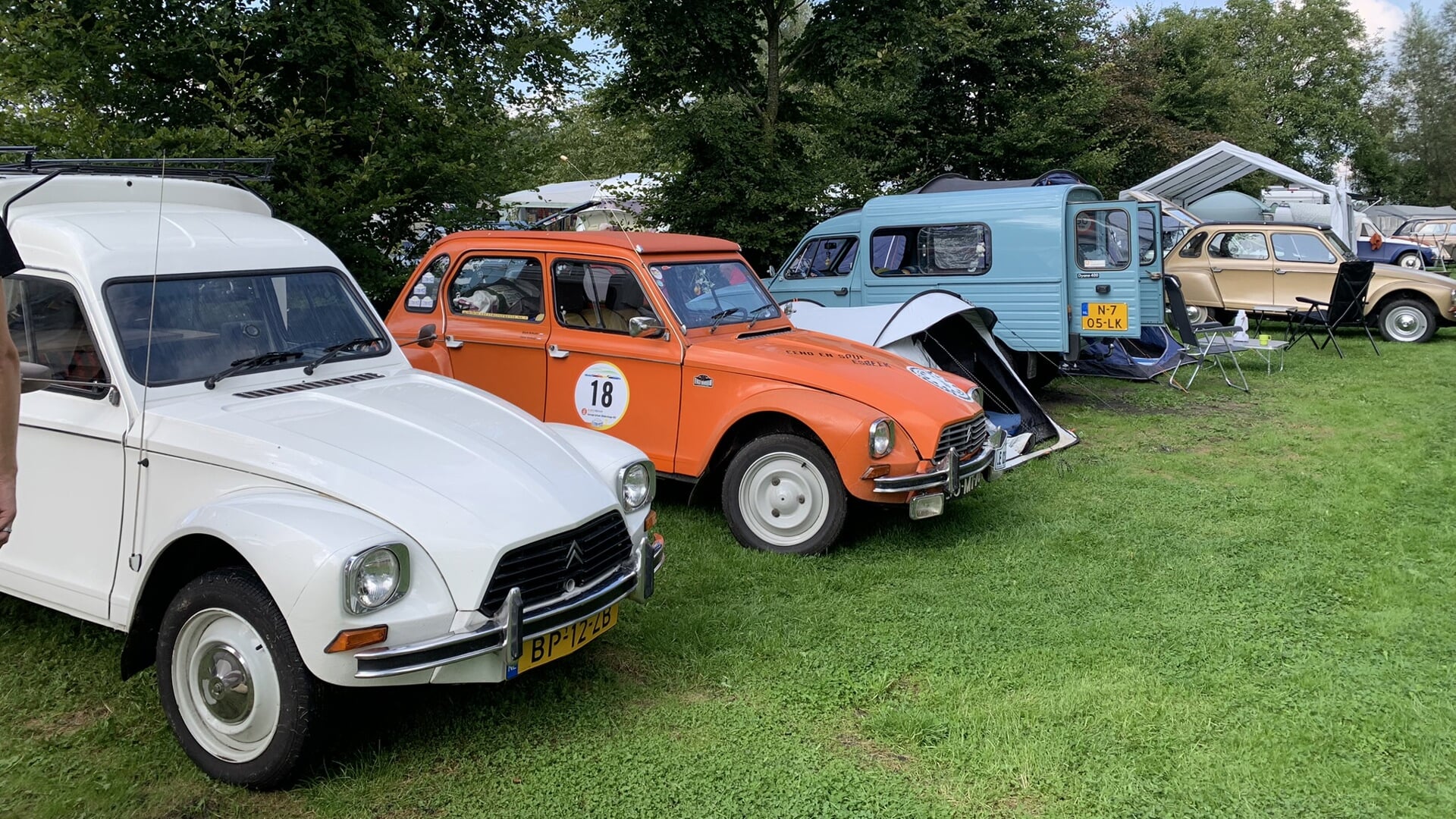 Eendjes en Dyanes op bezoek in Rotstergaast