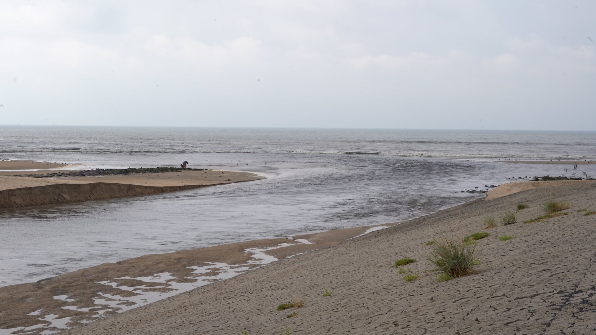 Katwijk werkt aan betere zwemwaterkwaliteit - Al het nieuws uit Katwijk ...
