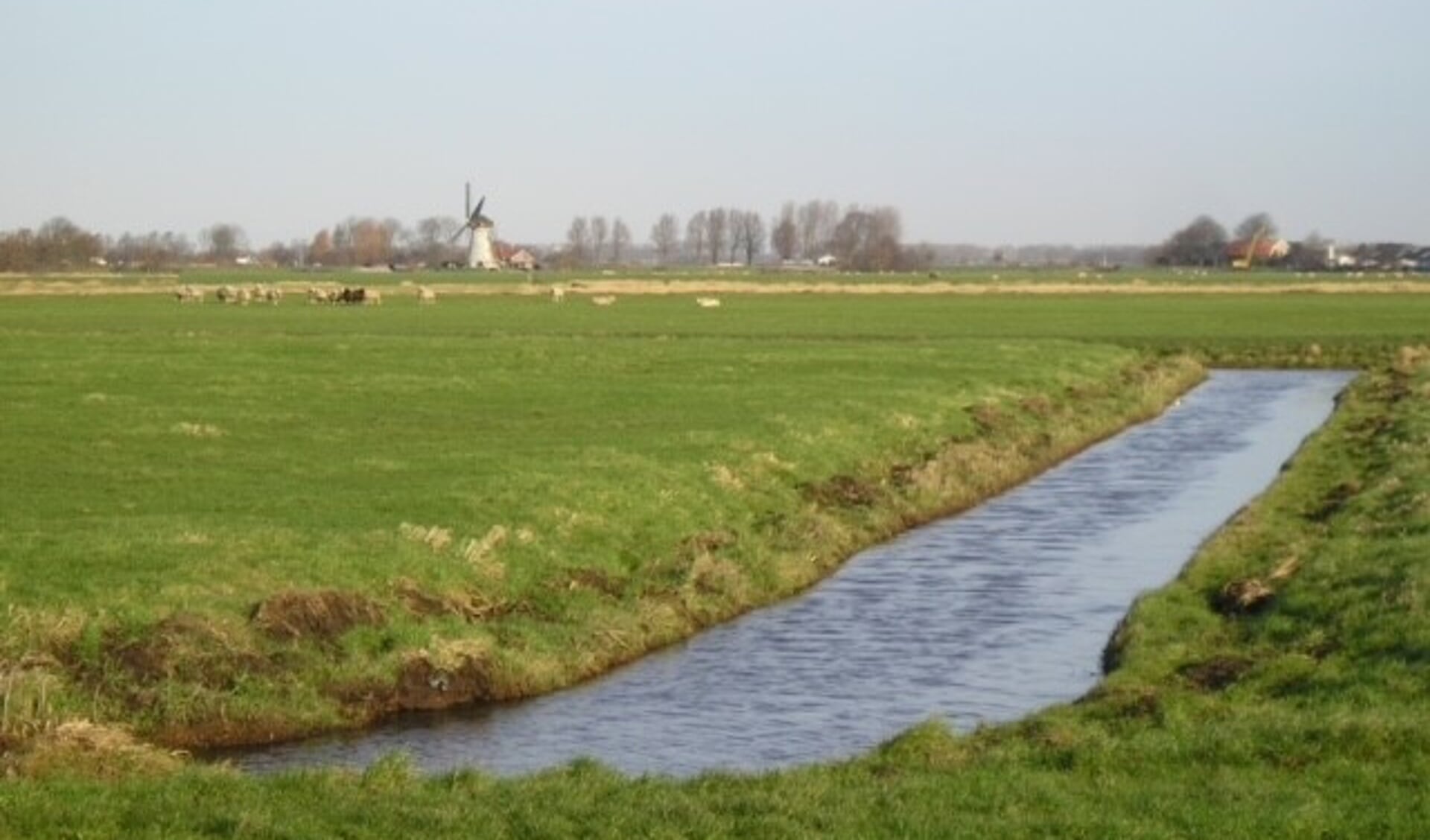 Het verhaal van de polders in de Leidse regio - Al het nieuws uit Lisse
