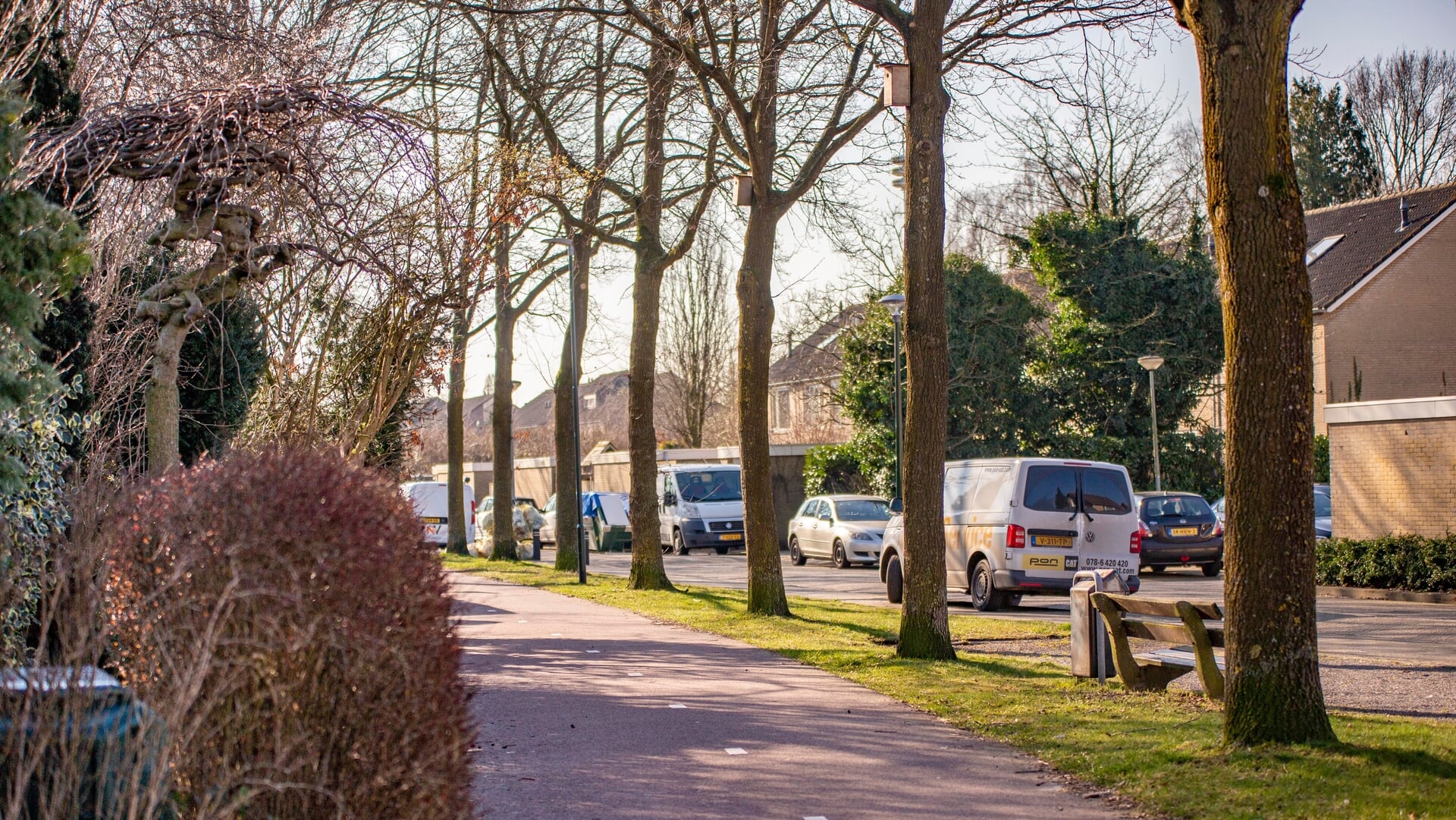 Vrije Tribune: Onze belangrijke bomen en de Groene Kaart