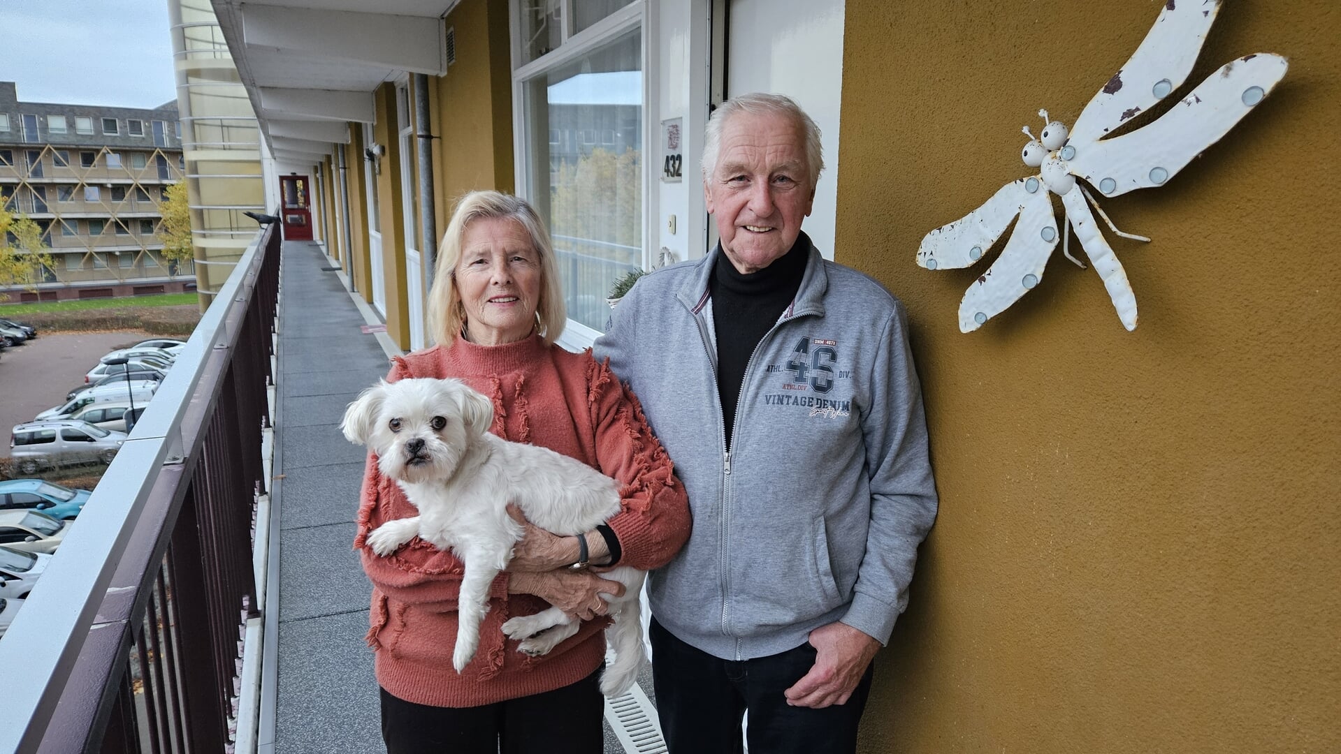 Diamanten bruidspaar in Boxtel