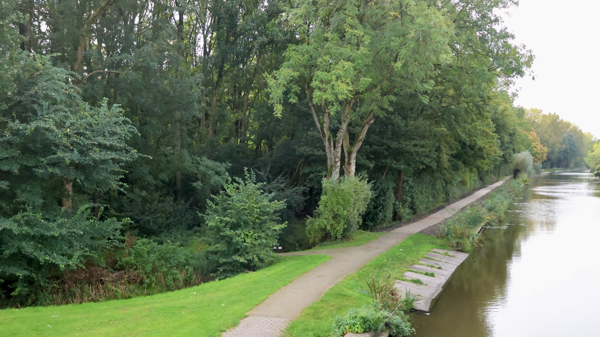 ‘Het Zwettebos is voor iedereen’