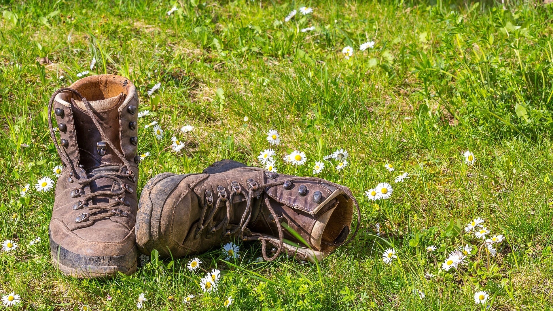 Wandelvierdaagse in Usquert