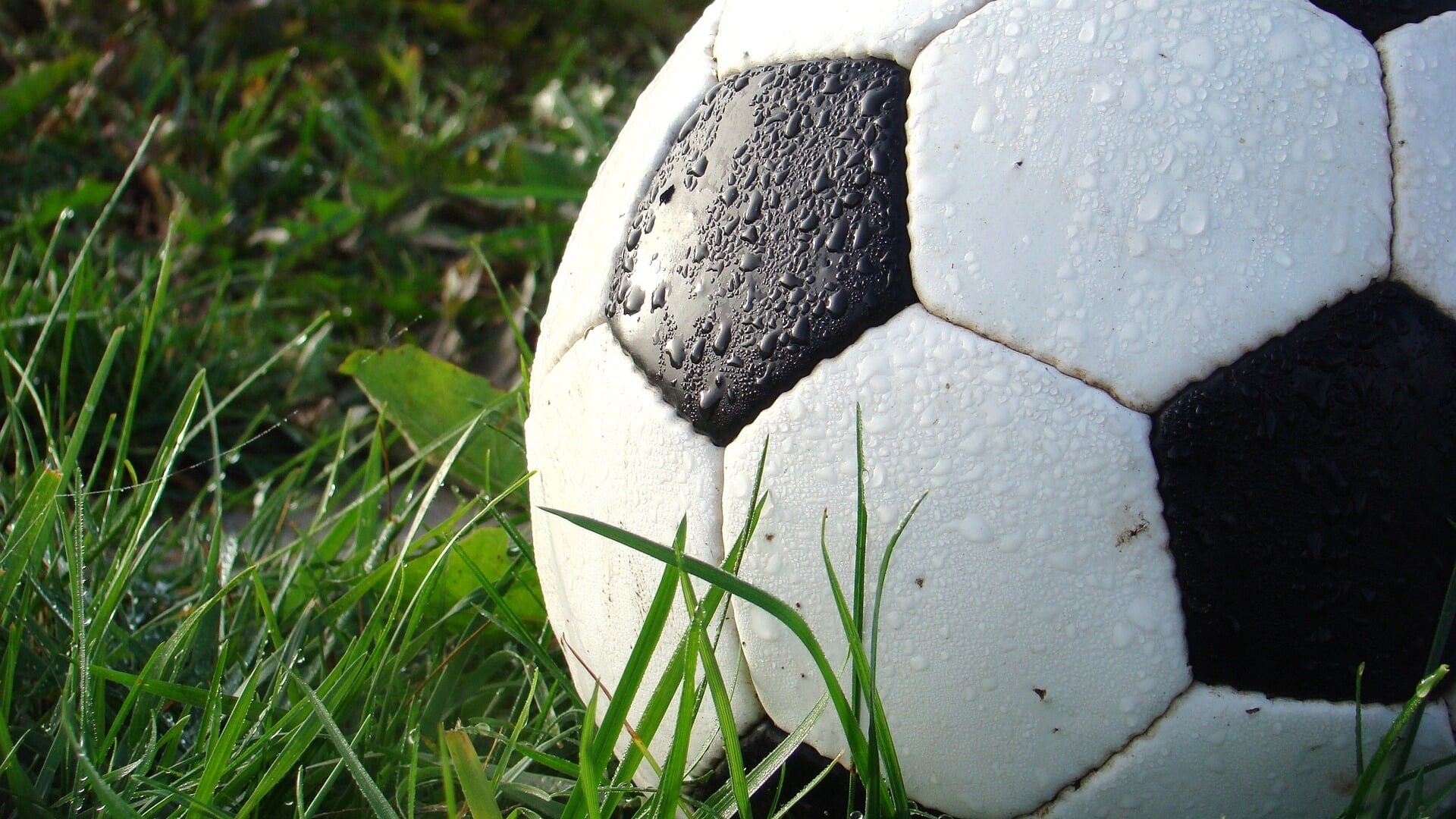 Voetbalsters Winsum sluiten competitie af met zege