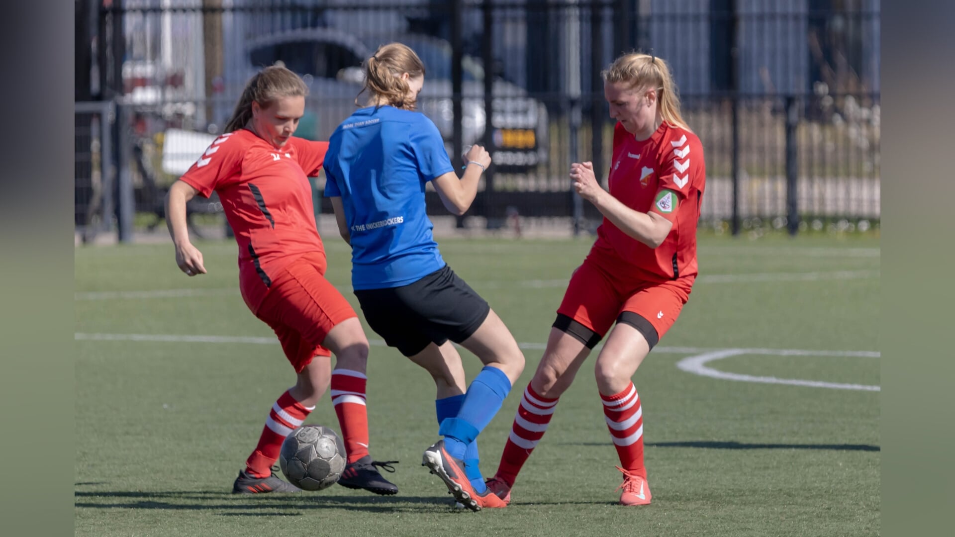 Tweede plaats voor dames van Zeester